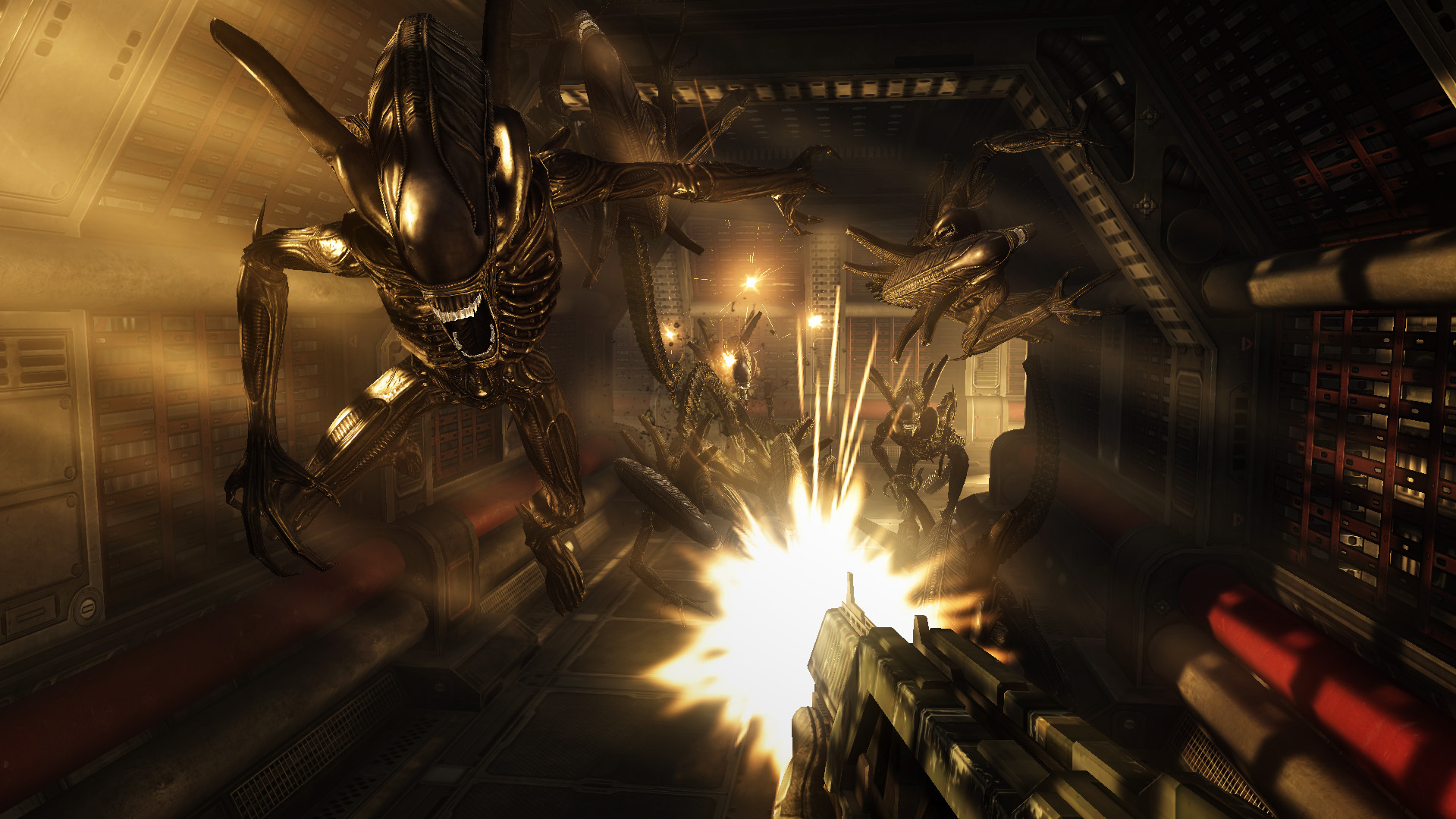 Aliens vs. Predator™ — screenshot 3