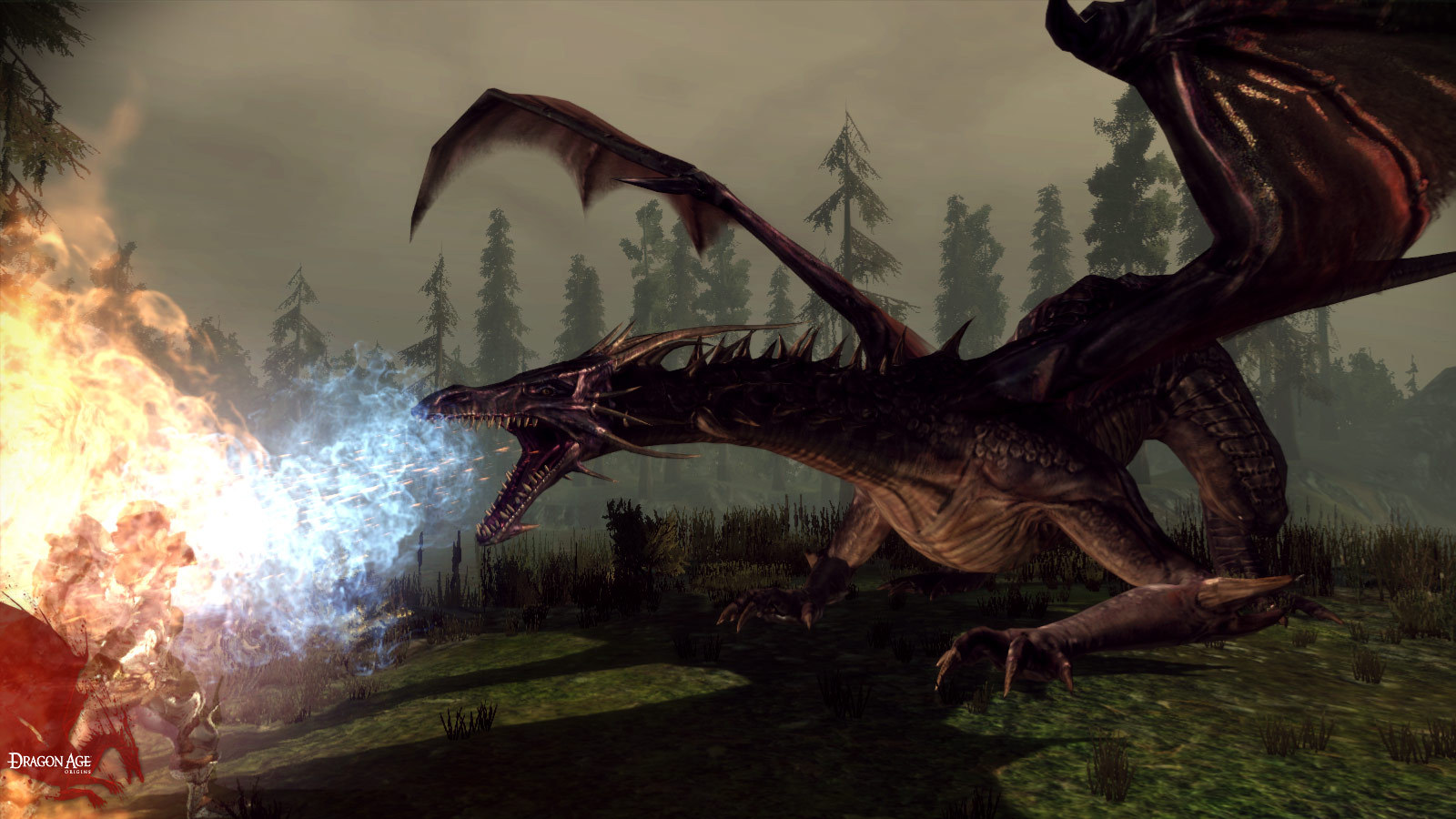 Dragon Age: Origins — screenshot 3