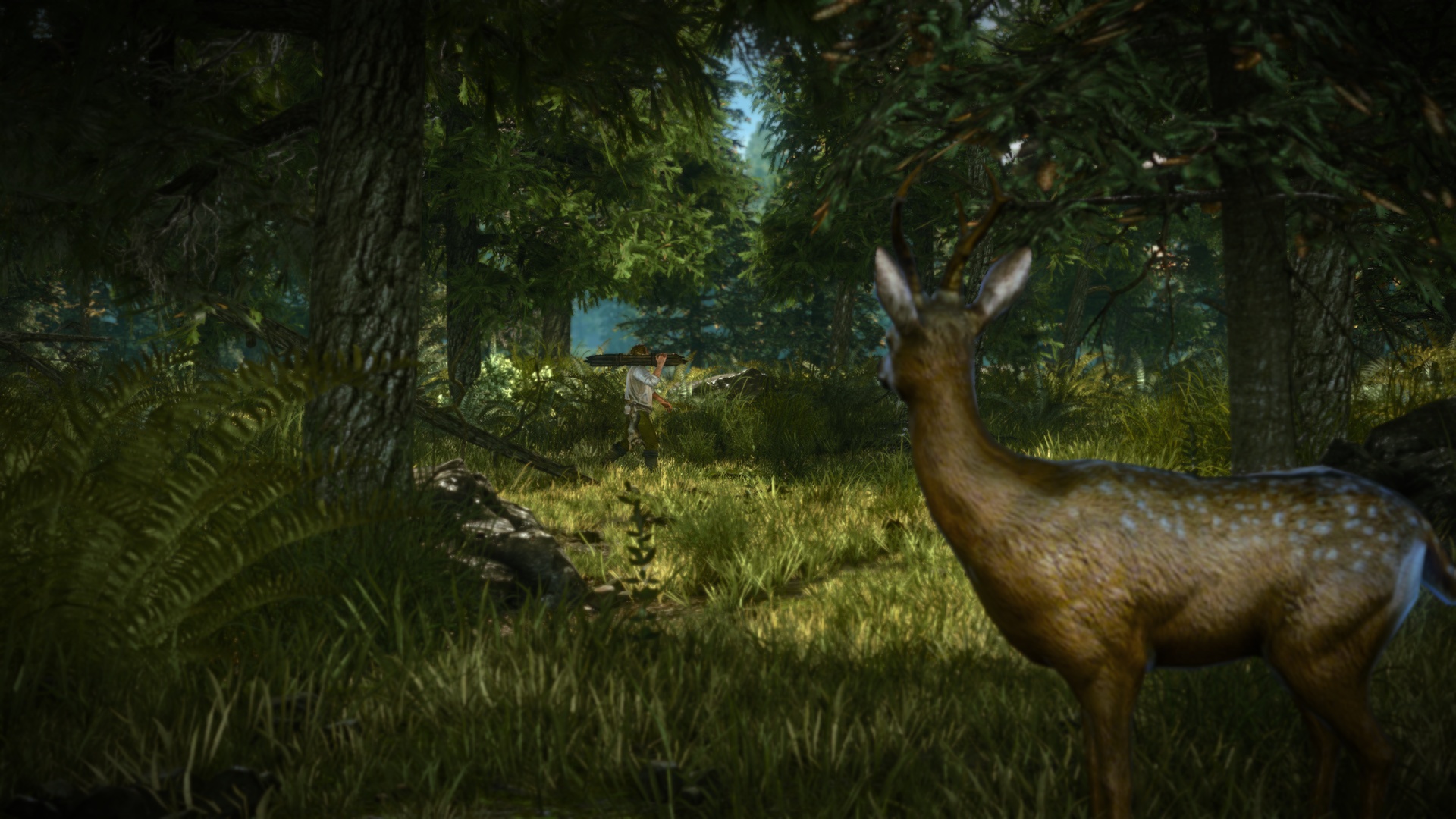 The Witcher 2: Assassins of Kings Enhanced Edition — screenshot 2