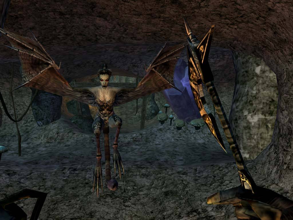 The Elder Scrolls III: Morrowind® Game of the Year Edition — screenshot 6