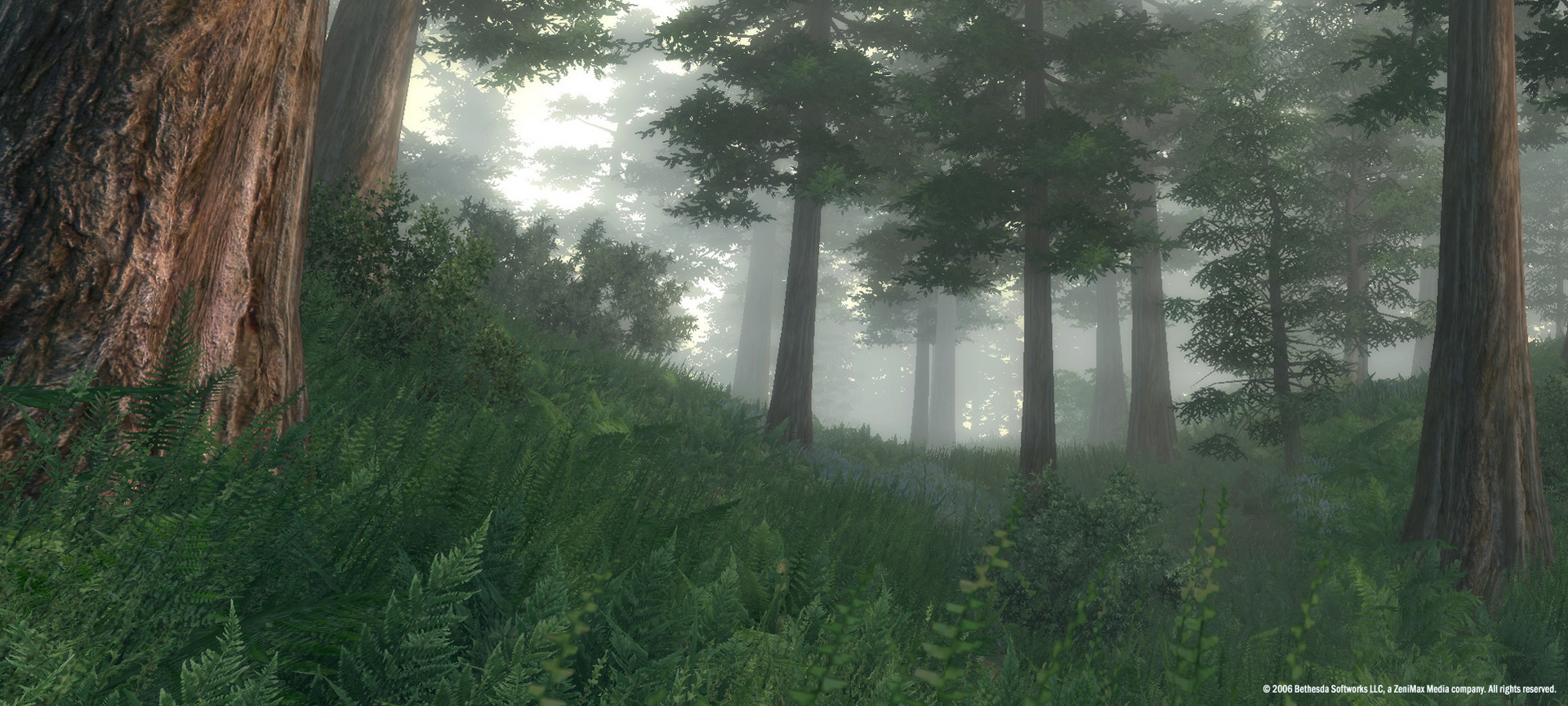 The Elder Scrolls IV: Oblivion® Game of the Year Edition (2009) — screenshot 1