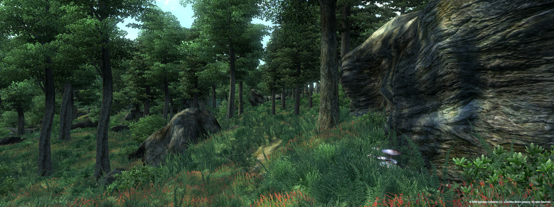 The Elder Scrolls IV: Oblivion® Game of the Year Edition (2009) — screenshot 2