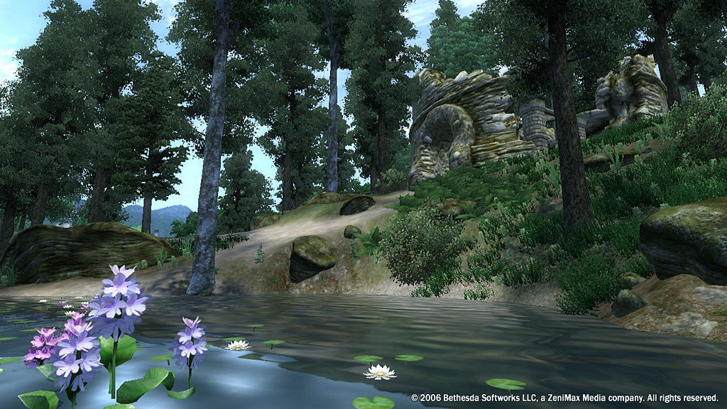 The Elder Scrolls IV: Oblivion® Game of the Year Edition (2009) — screenshot 3