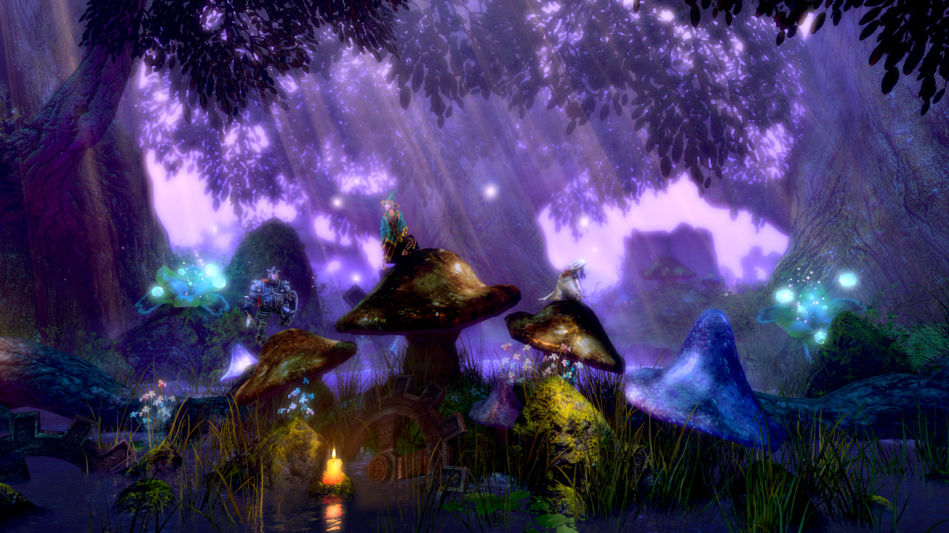 Trine Enchanted Edition — screenshot 3