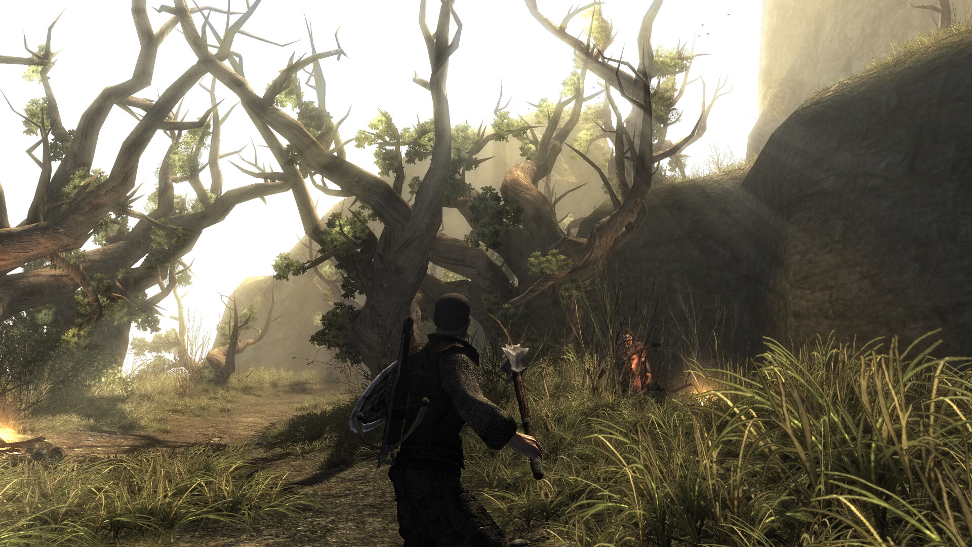 Risen — screenshot 1