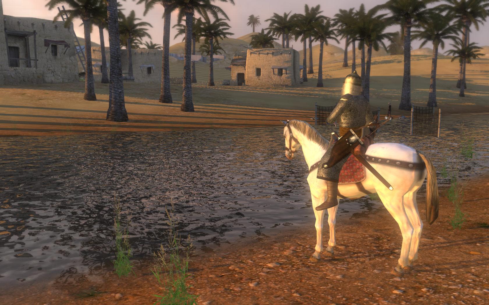 Mount & Blade: Warband — screenshot 5