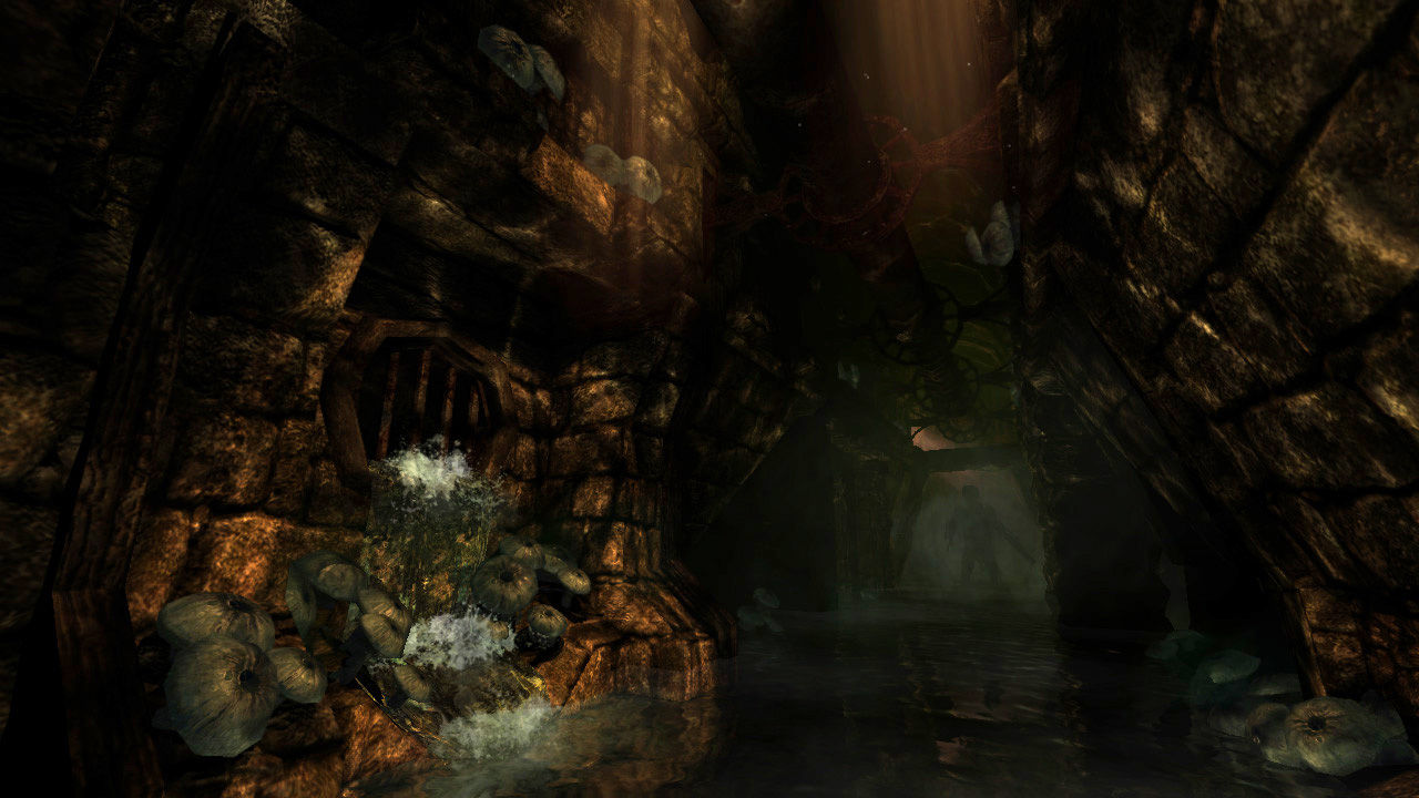 Amnesia: The Dark Descent — screenshot 5