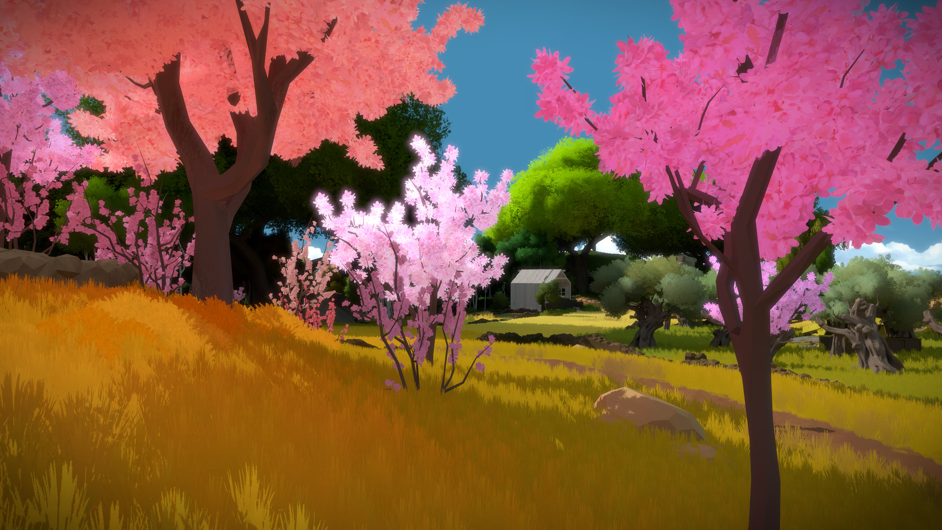 The Witness — screenshot 4