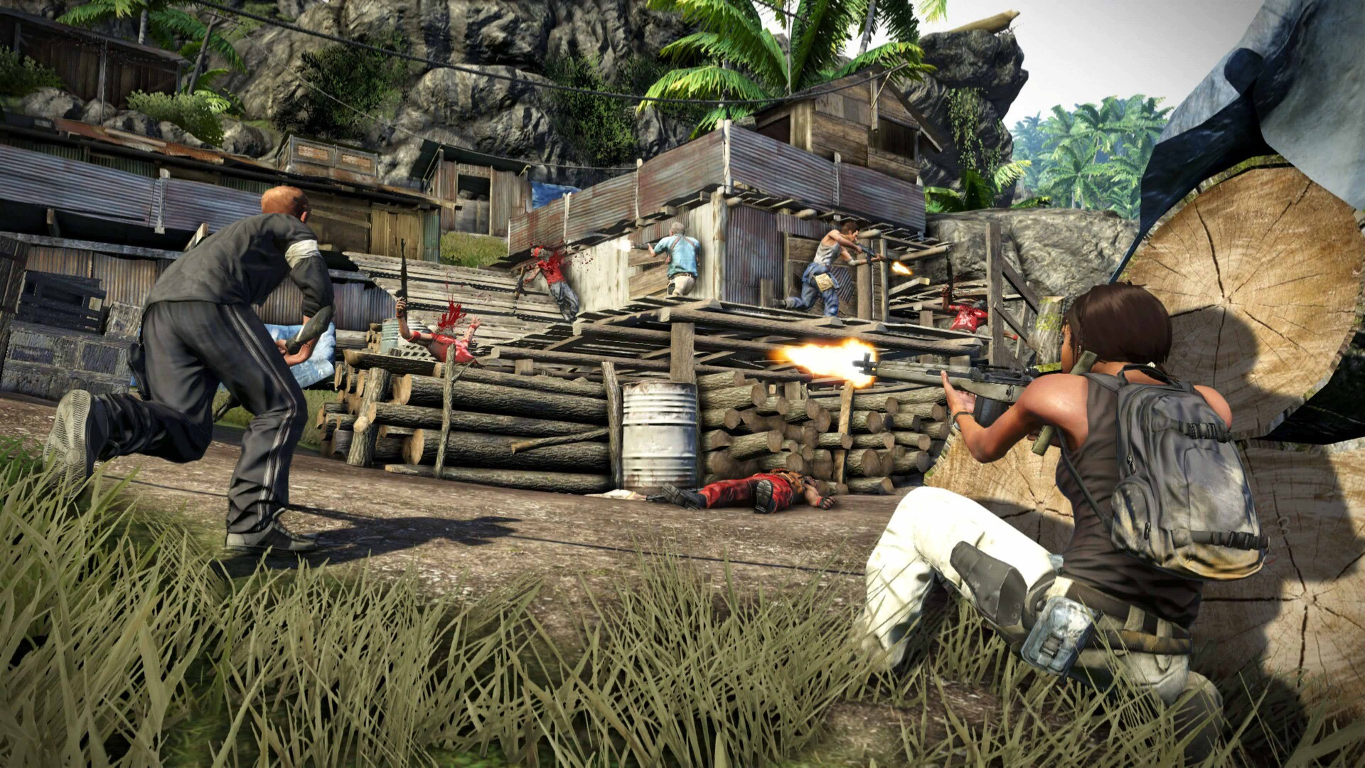 Far Cry 3 — screenshot 2