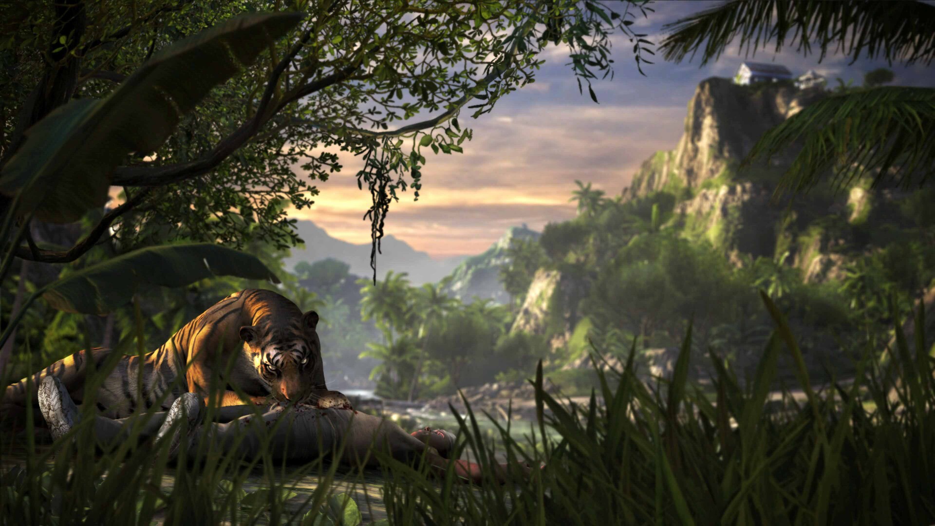Far Cry 3 — screenshot 5