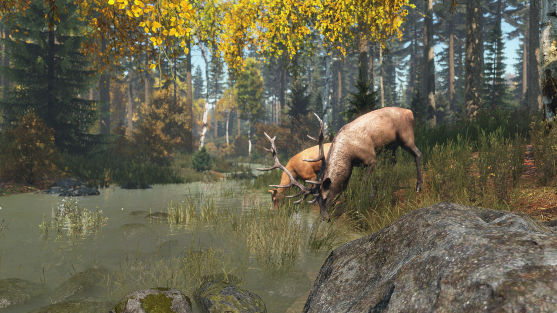 DayZ — screenshot 6