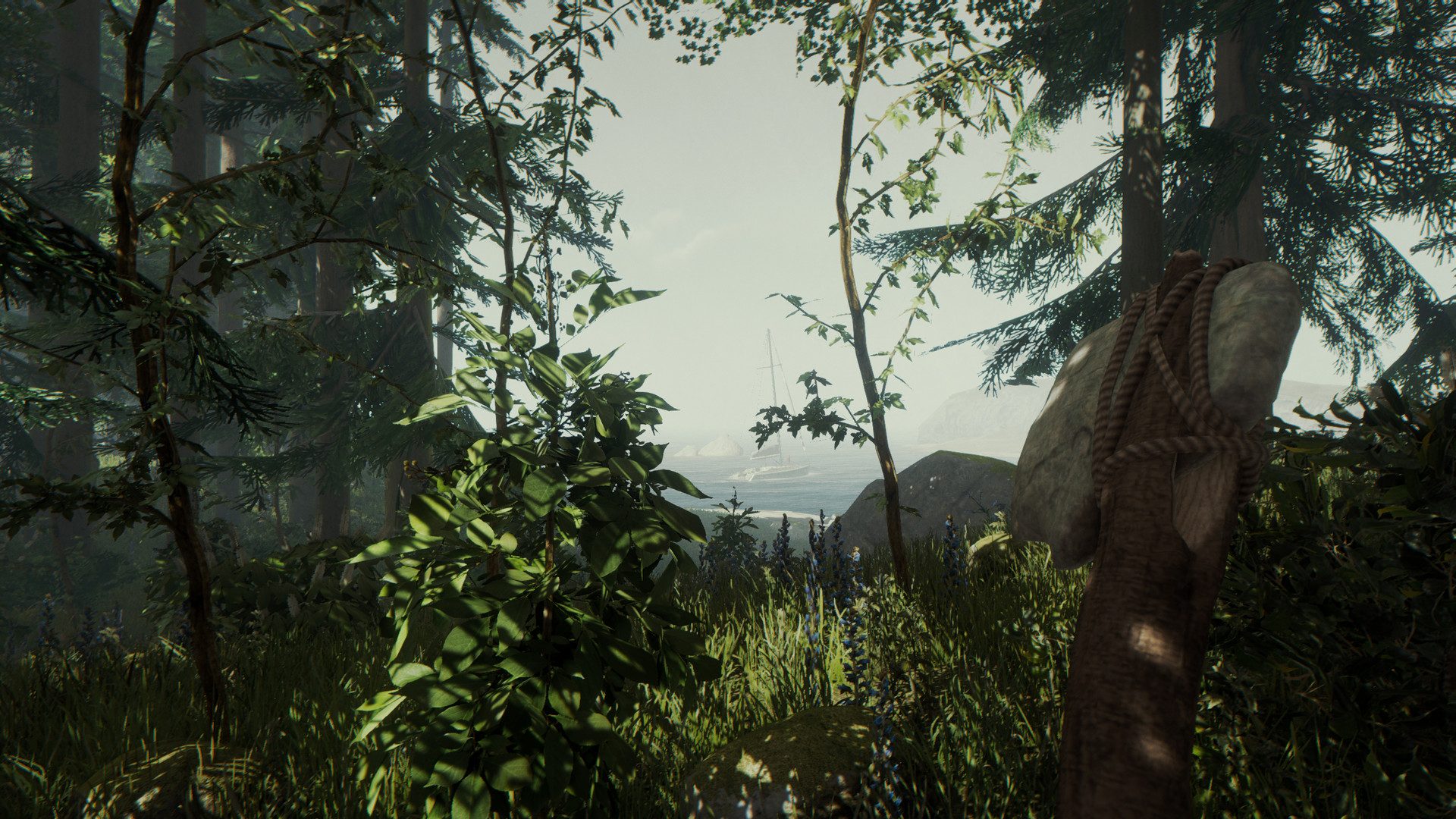 The Forest — screenshot 4