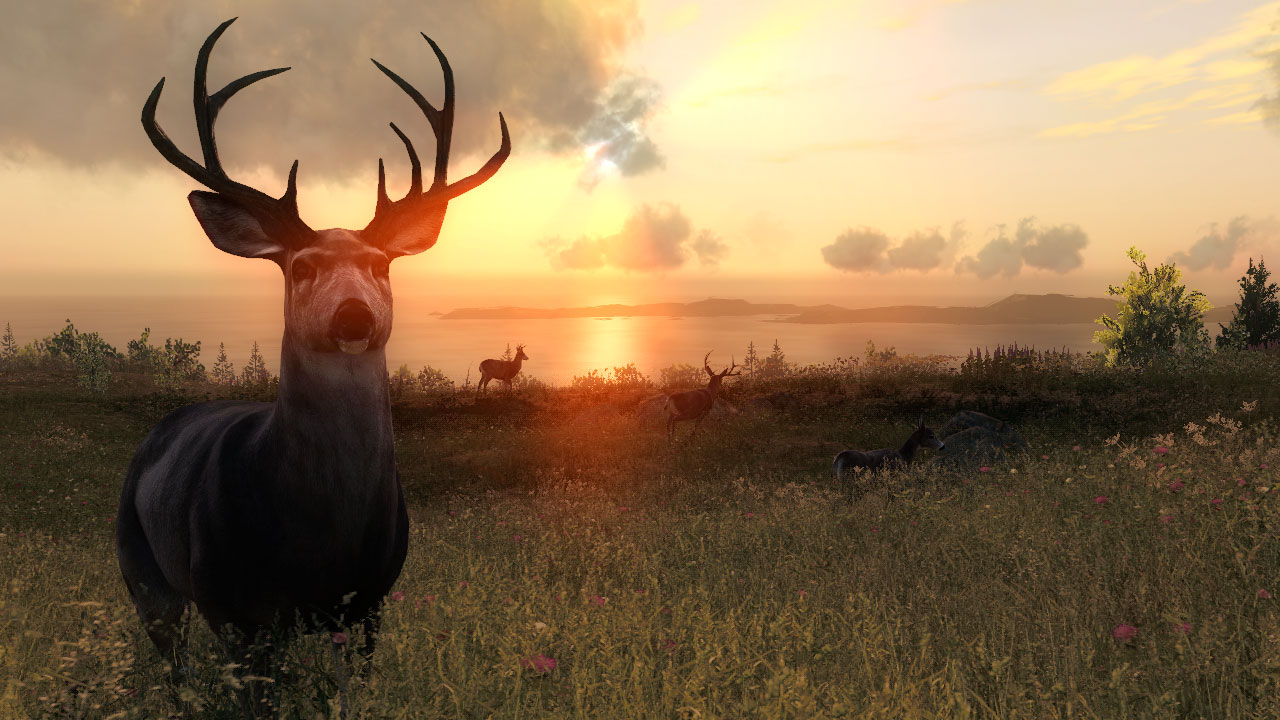 theHunter Classic — screenshot 3
