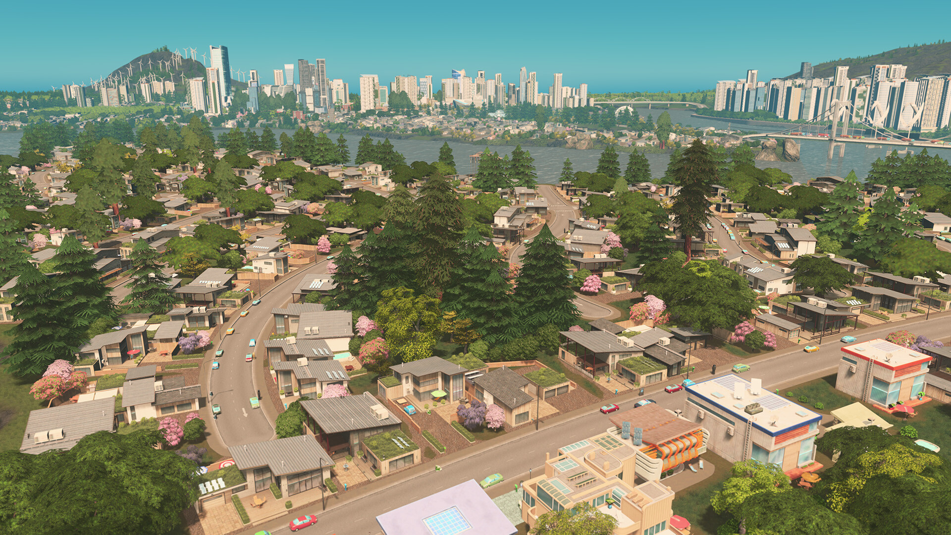 Cities: Skylines — screenshot 1
