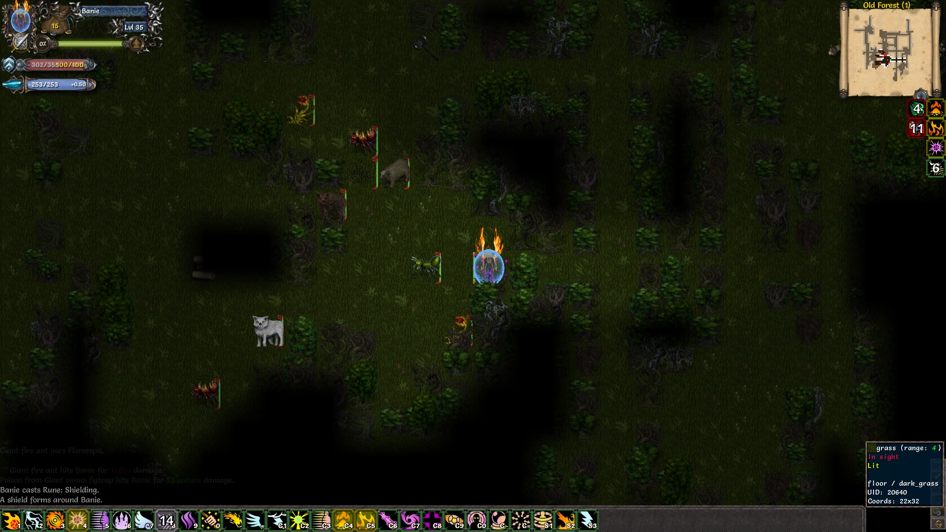 Tales of Maj'Eyal — screenshot 5