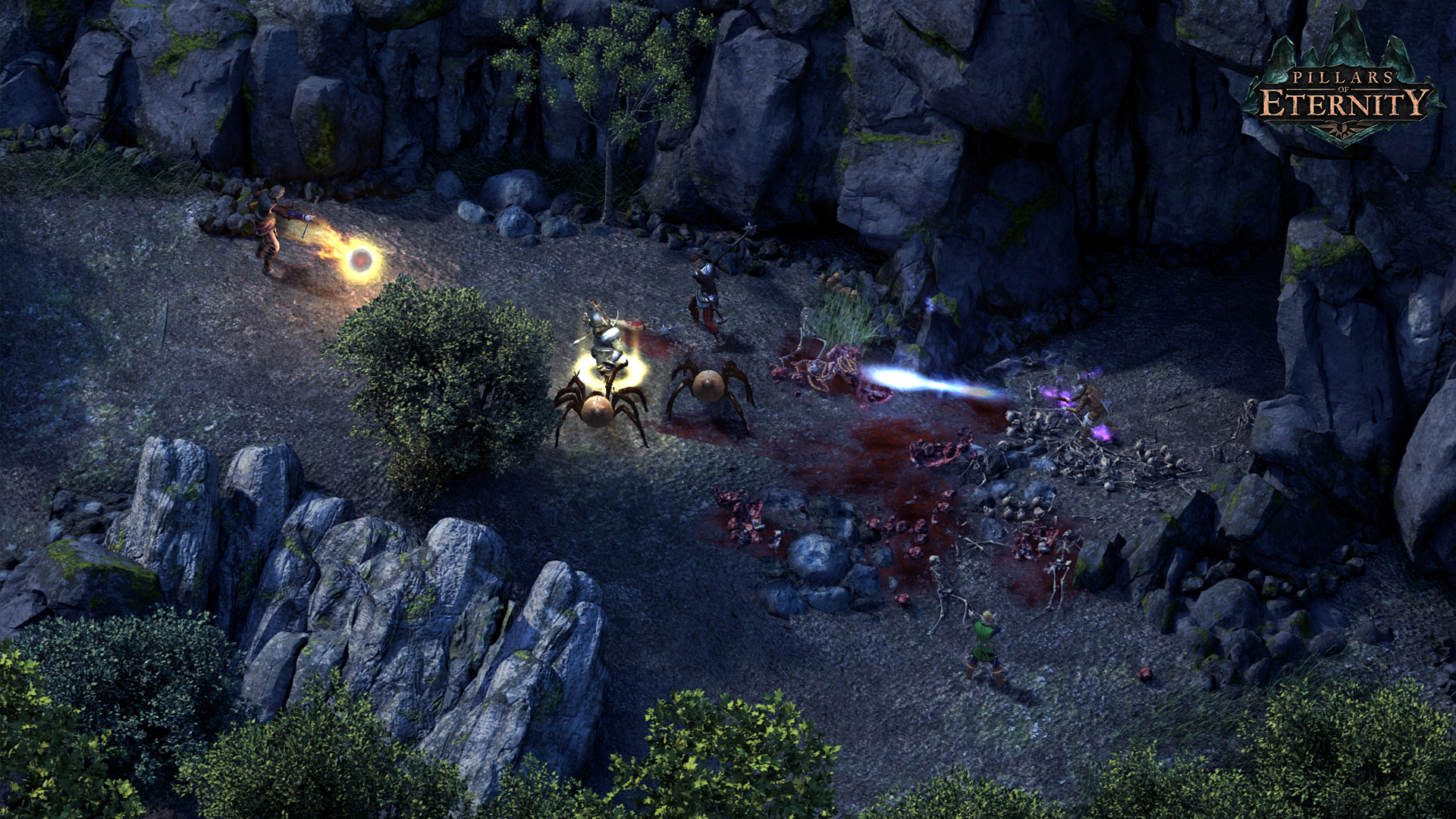 Pillars of Eternity — screenshot 4
