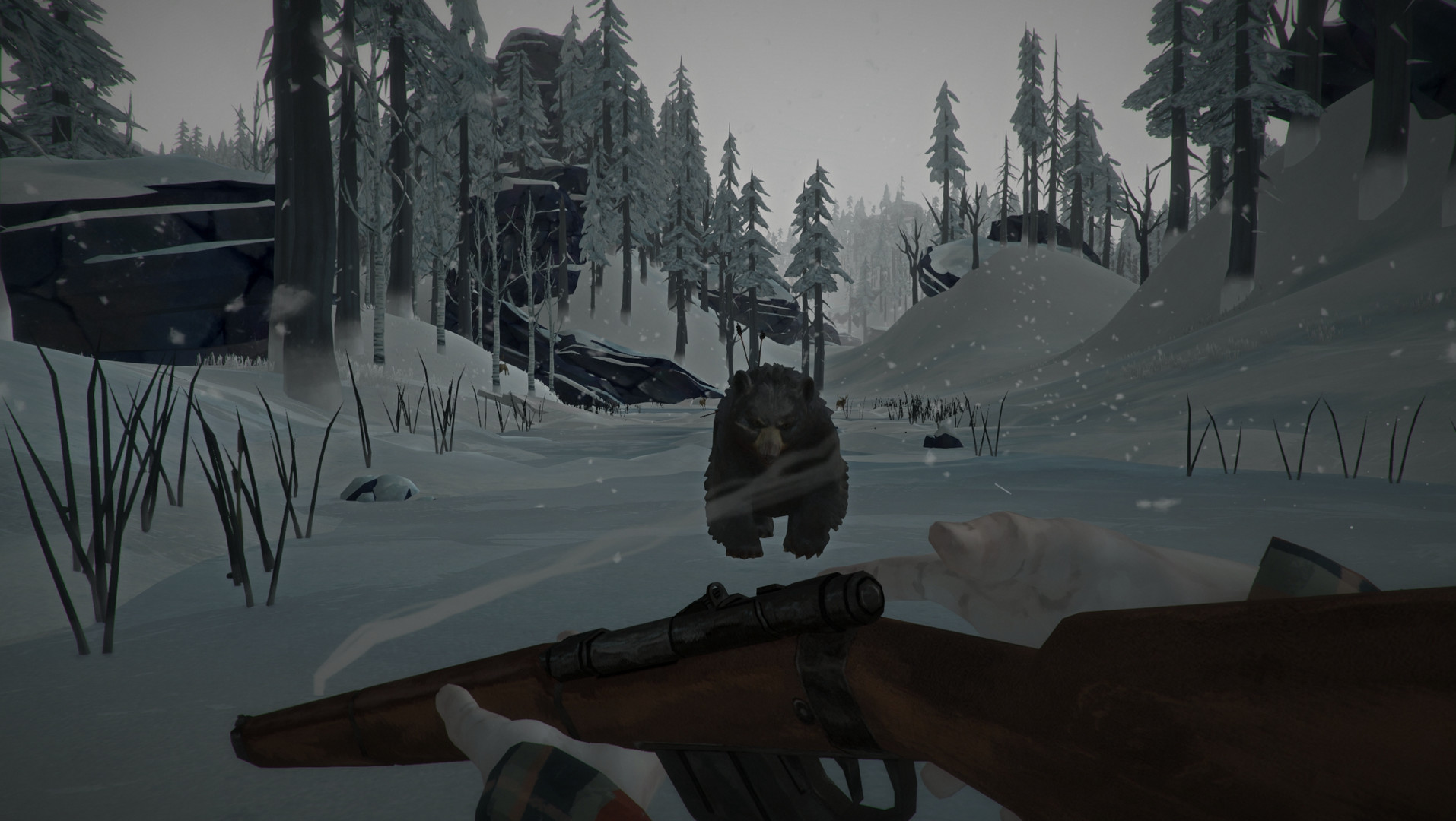 The Long Dark — screenshot 4