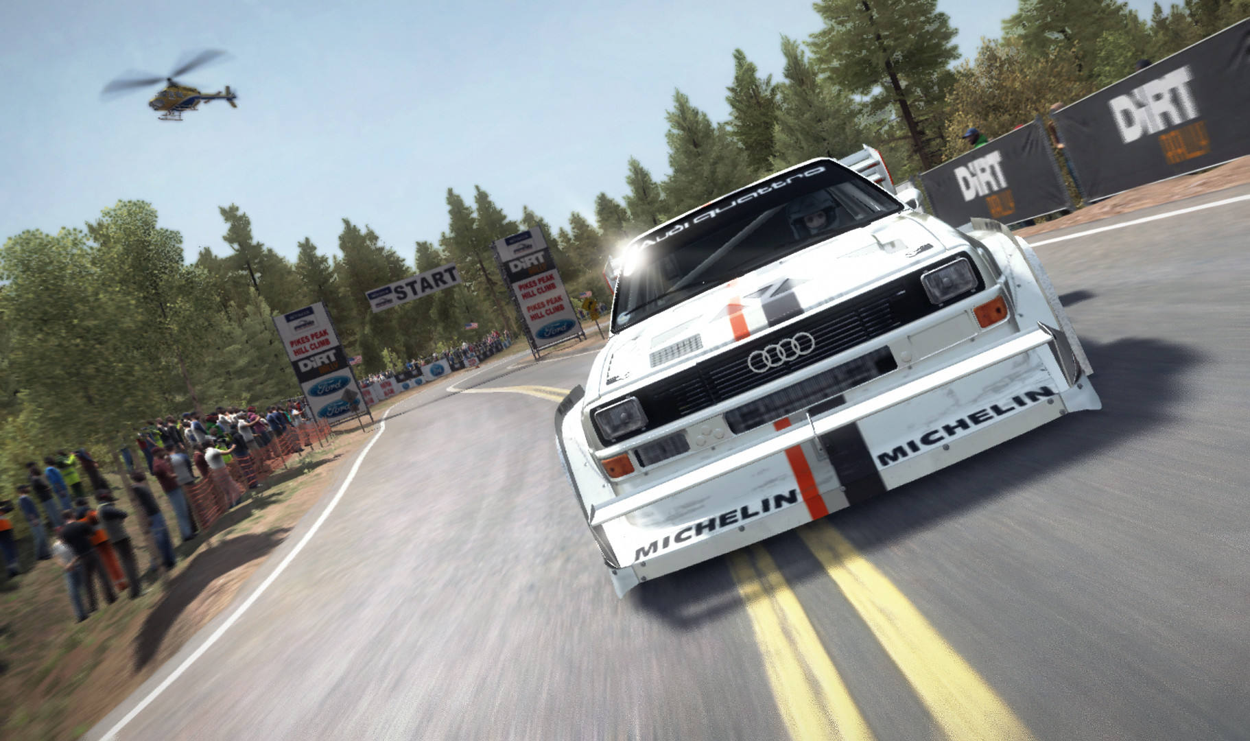 DiRT Rally — screenshot 1