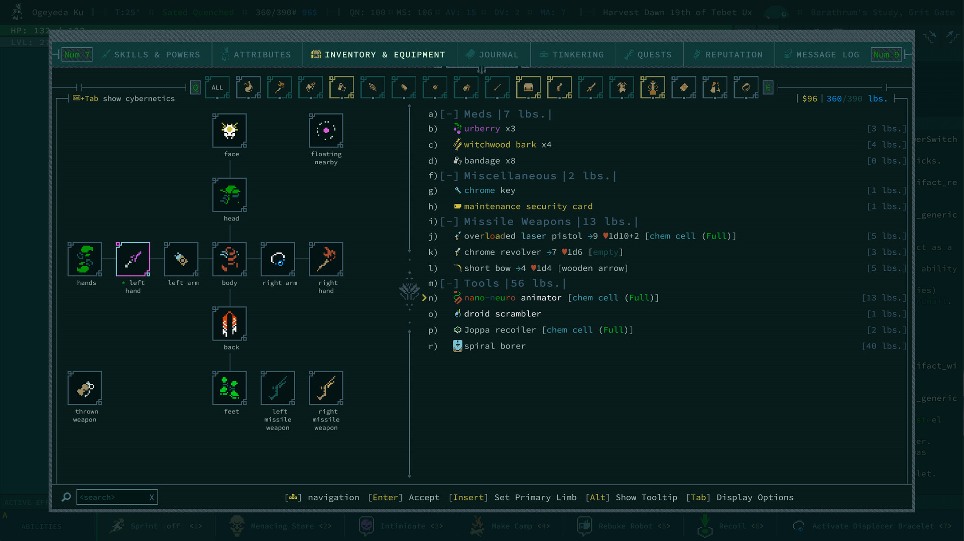 Caves of Qud — screenshot 2