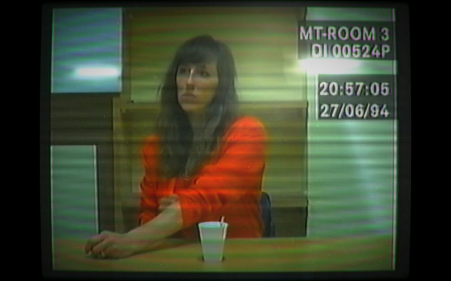 Her Story — screenshot 2