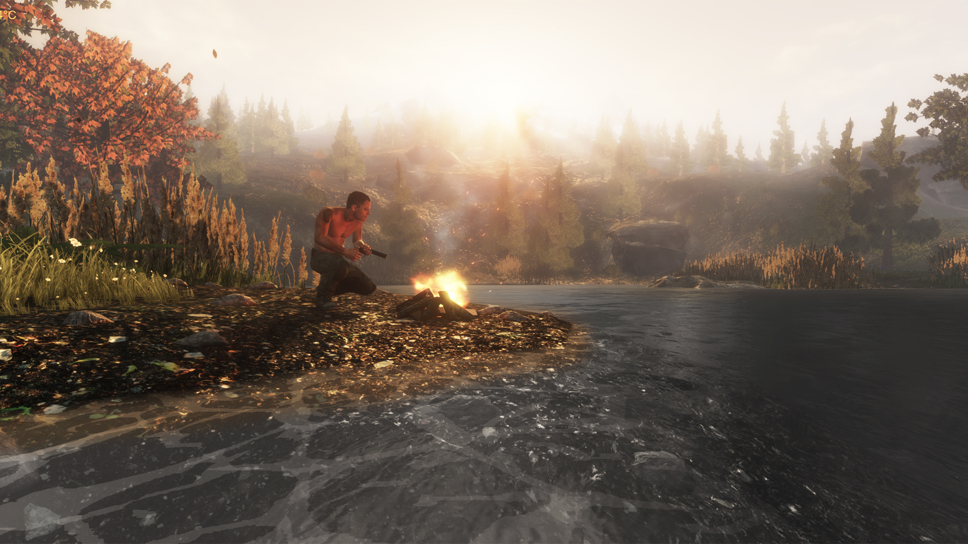 Subsistence — screenshot 1