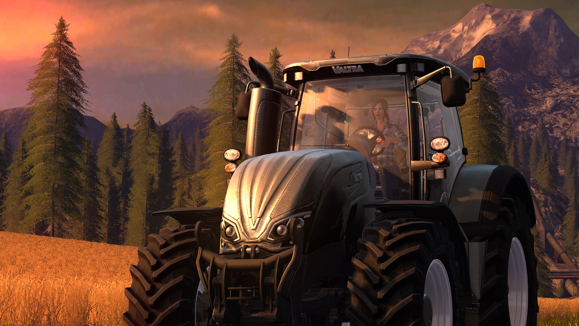 Farming Simulator 17 — screenshot 6