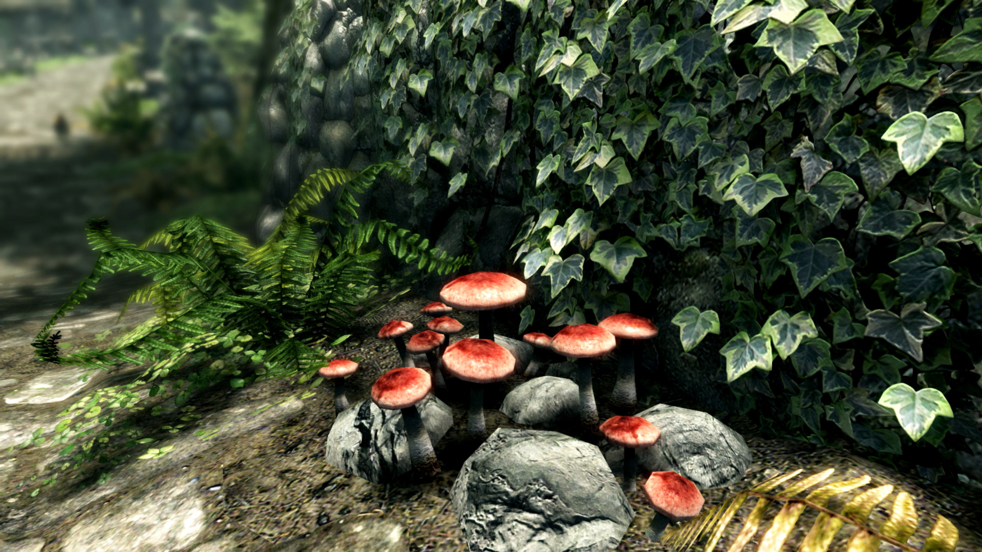 The Elder Scrolls V: Skyrim Special Edition — screenshot 6