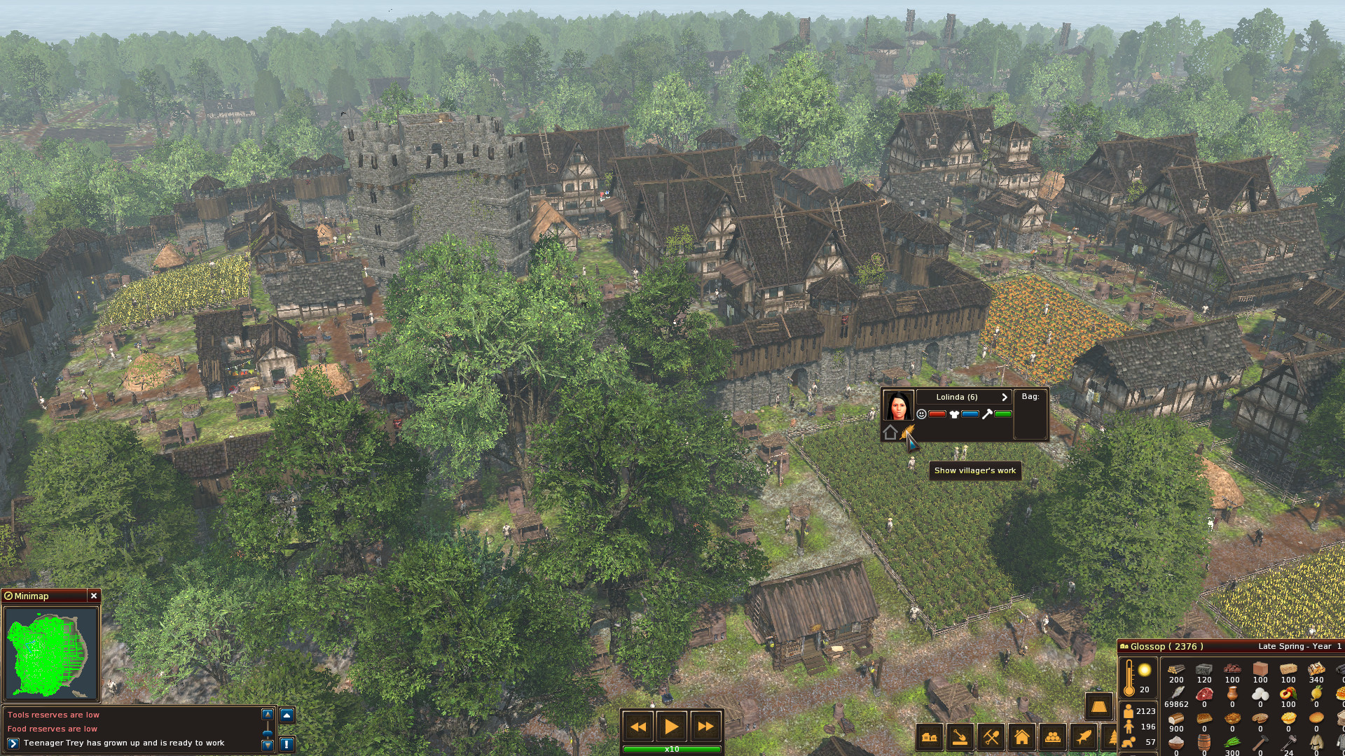 Life is Feudal: Forest Village — screenshot 2