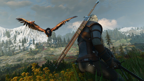 The Witcher 3: Wild Hunt — screenshot 1