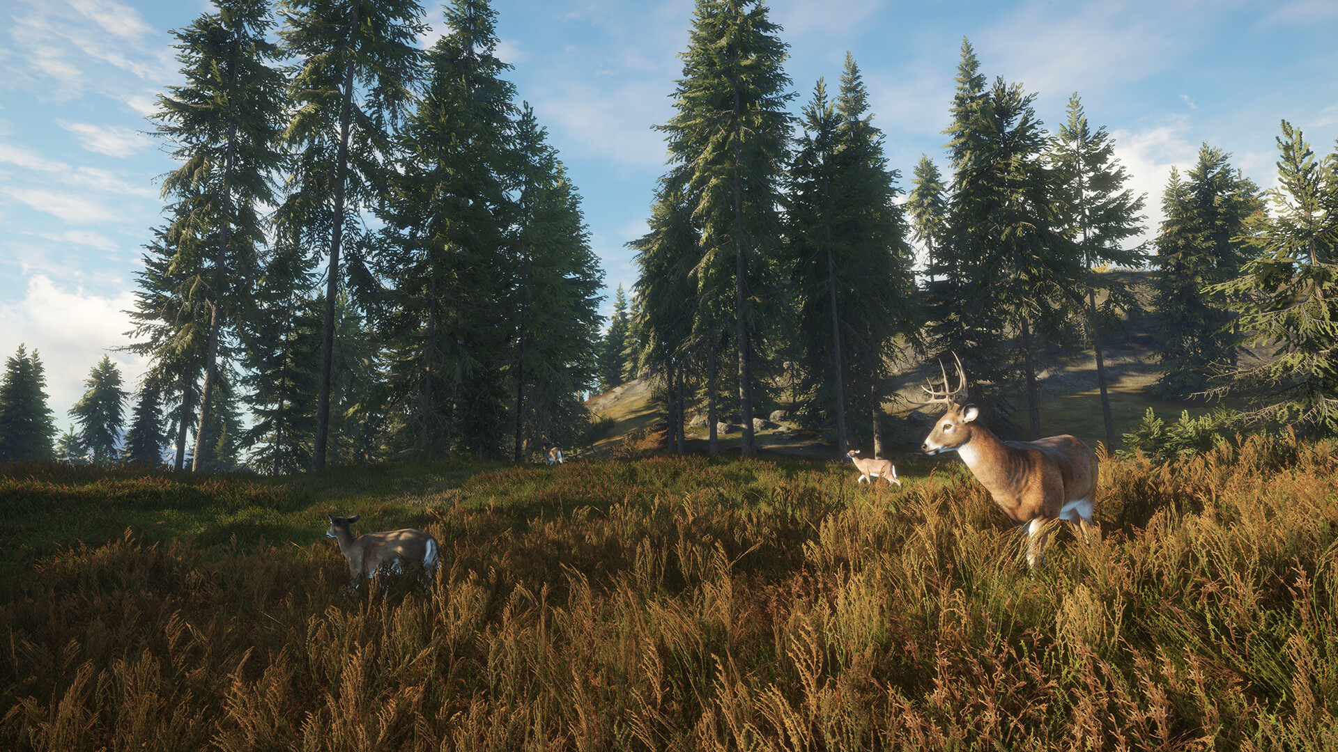 theHunter: Call of the Wild™ — screenshot 4