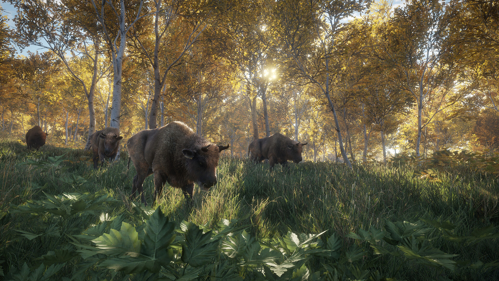 theHunter: Call of the Wild™ — screenshot 5