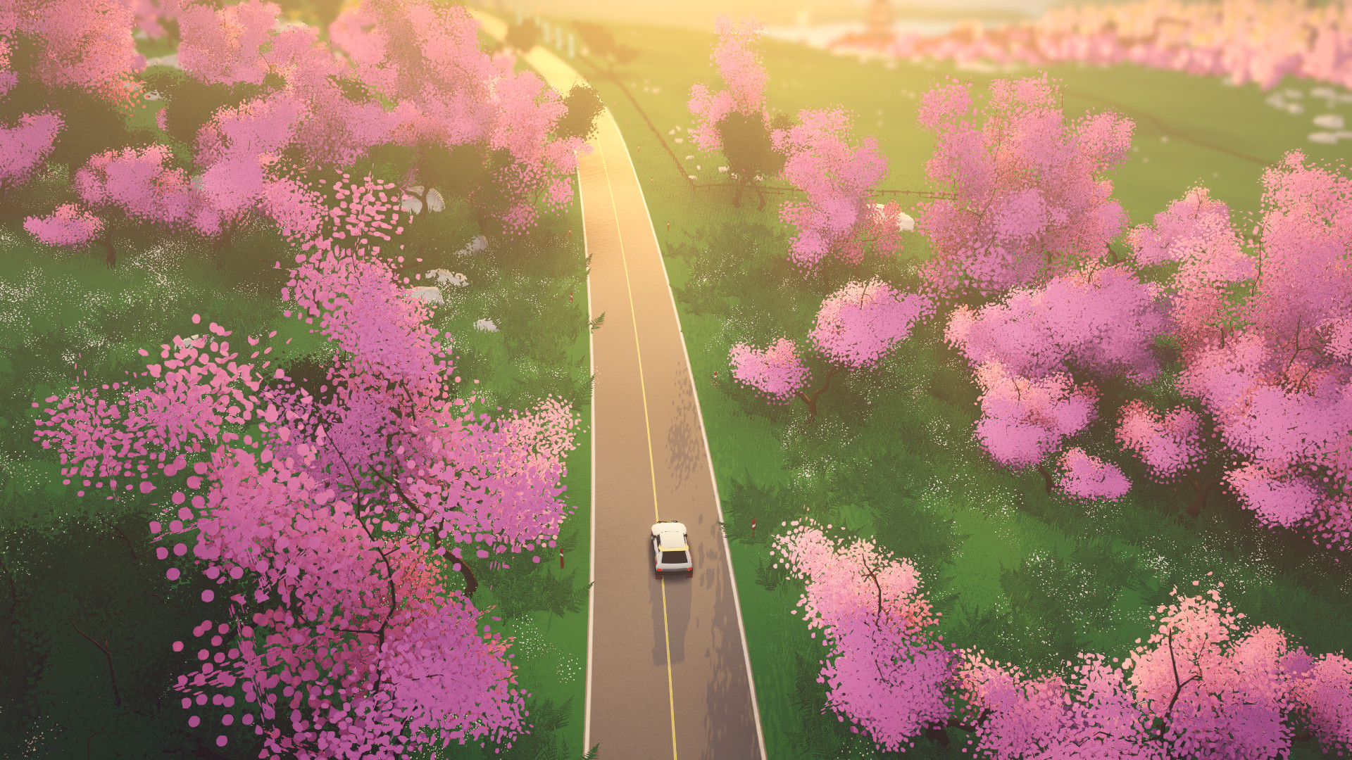 art of rally — screenshot 5
