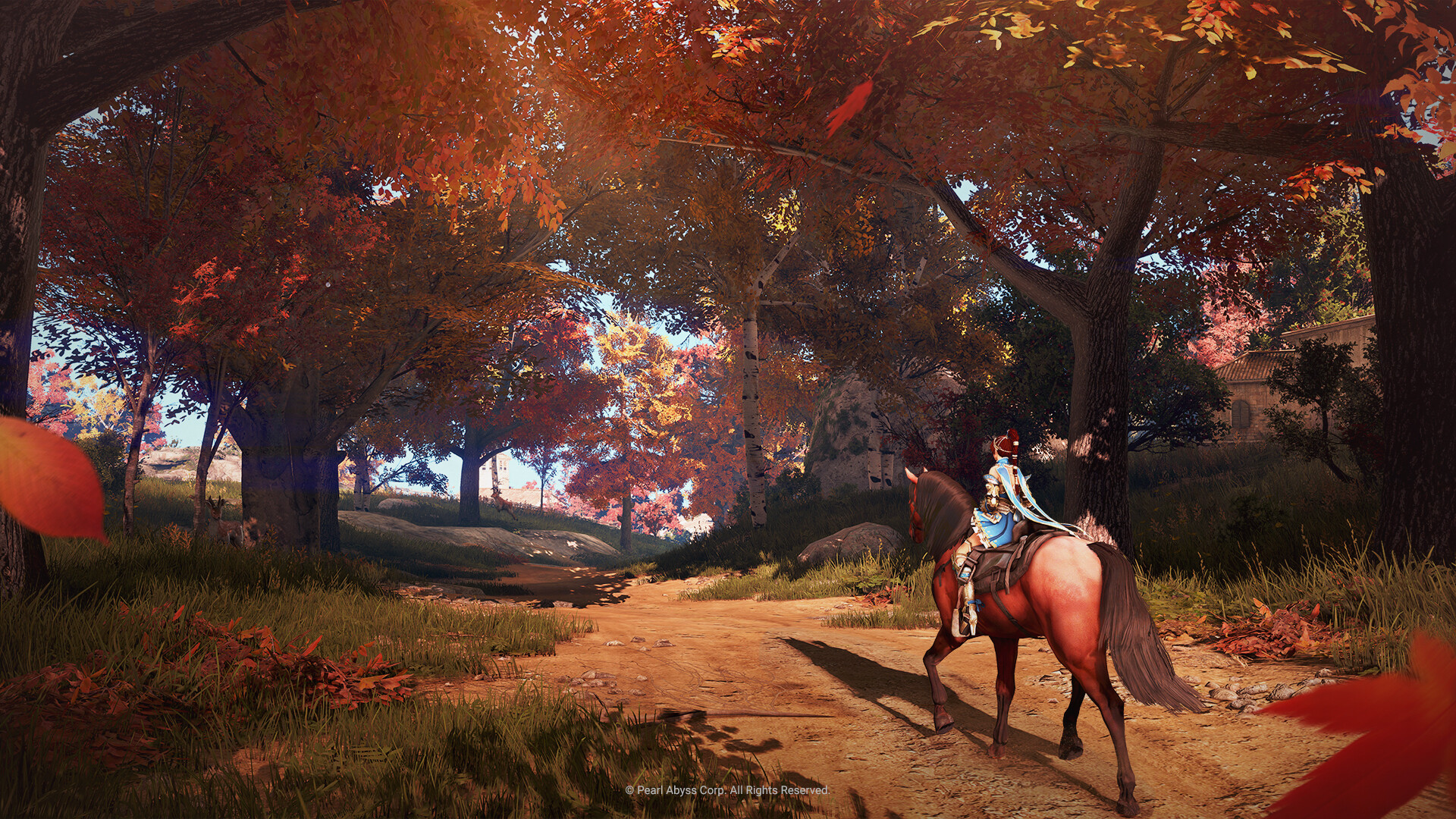 Black Desert — screenshot 5