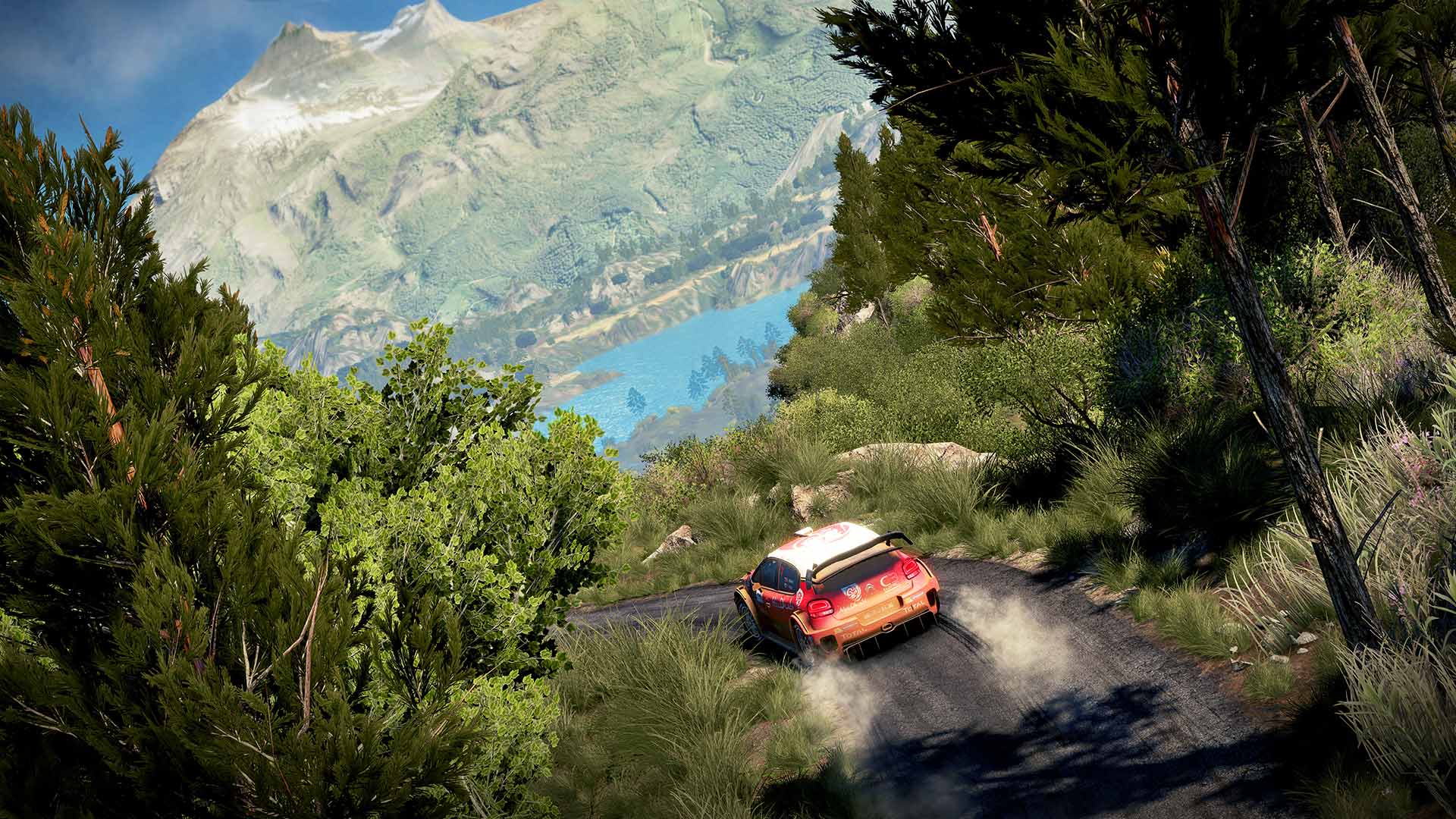 WRC 7 FIA World Rally Championship — screenshot 3