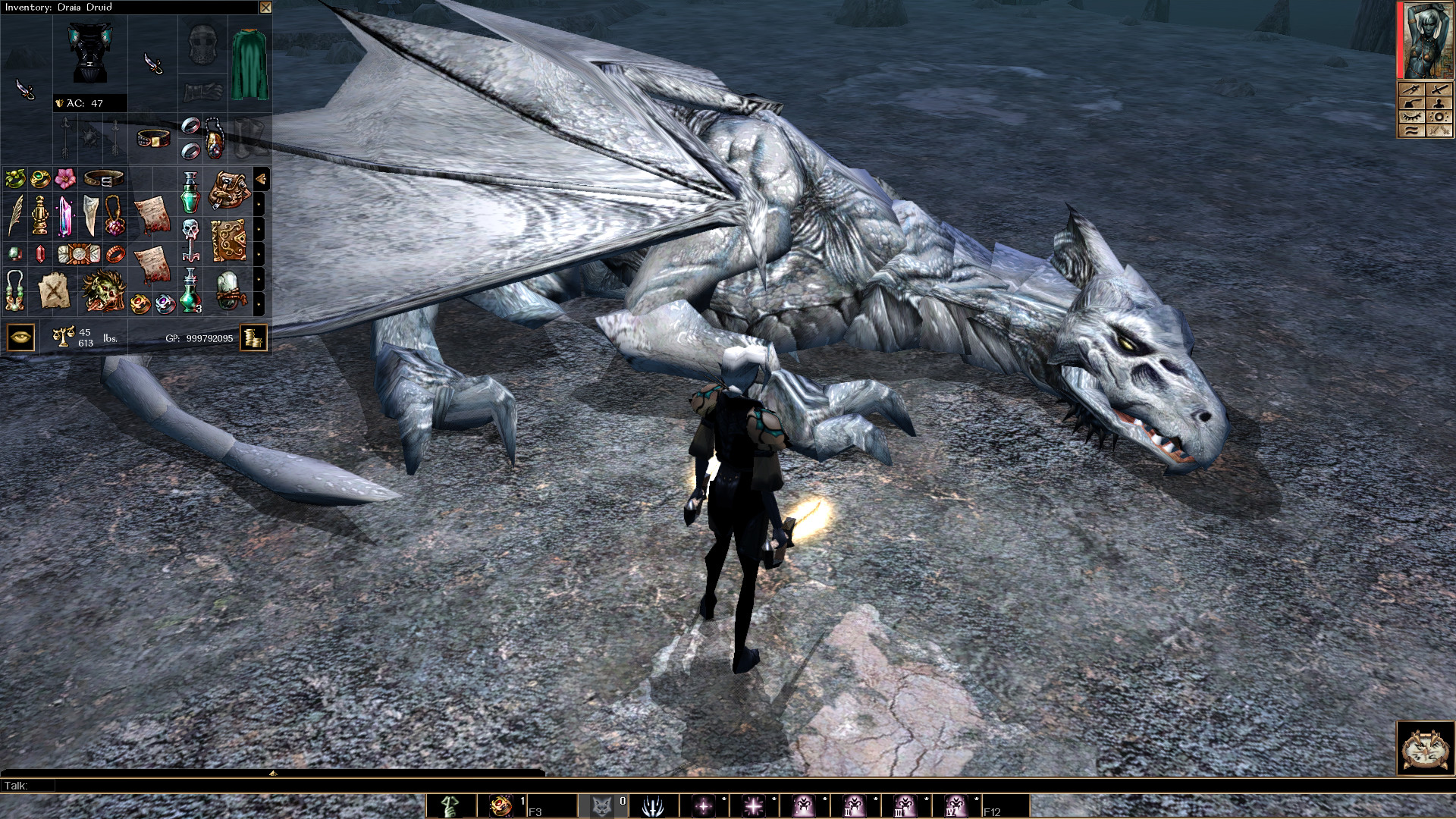 Neverwinter Nights: Enhanced Edition — screenshot 4