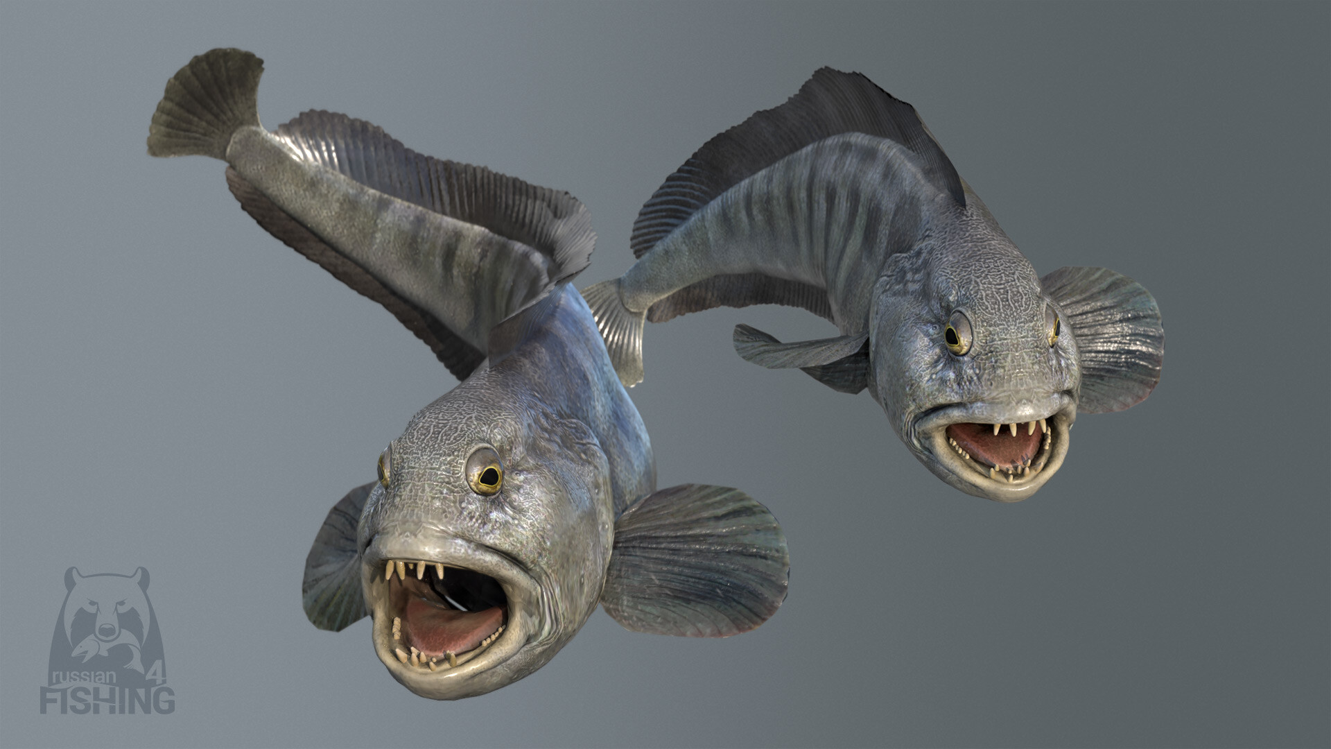 Russian Fishing 4 — screenshot 5
