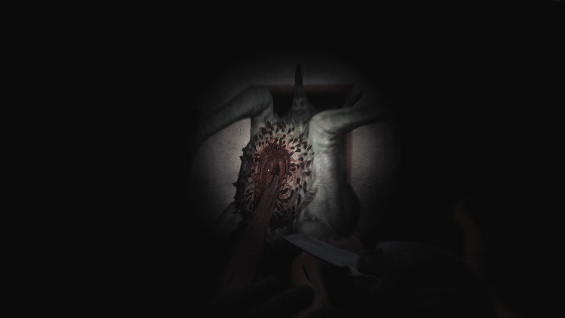 SCP: 5K — screenshot 3