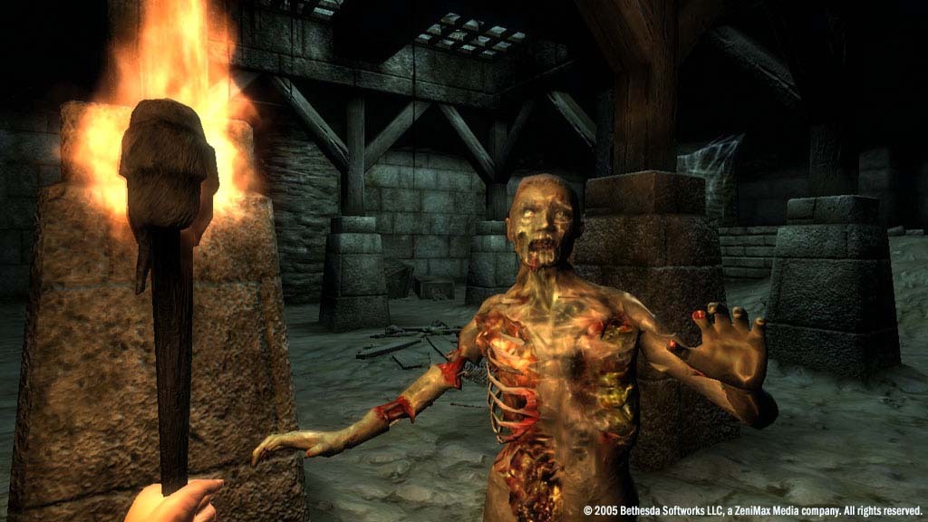 The Elder Scrolls IV: Oblivion® Game of the Year Edition Deluxe (2009) — screenshot 2