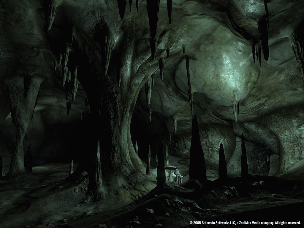 The Elder Scrolls IV: Oblivion® Game of the Year Edition Deluxe (2009) — screenshot 4