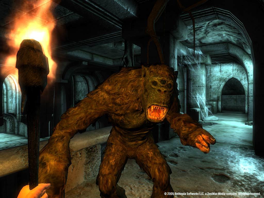 The Elder Scrolls IV: Oblivion® Game of the Year Edition Deluxe (2009) — screenshot 6