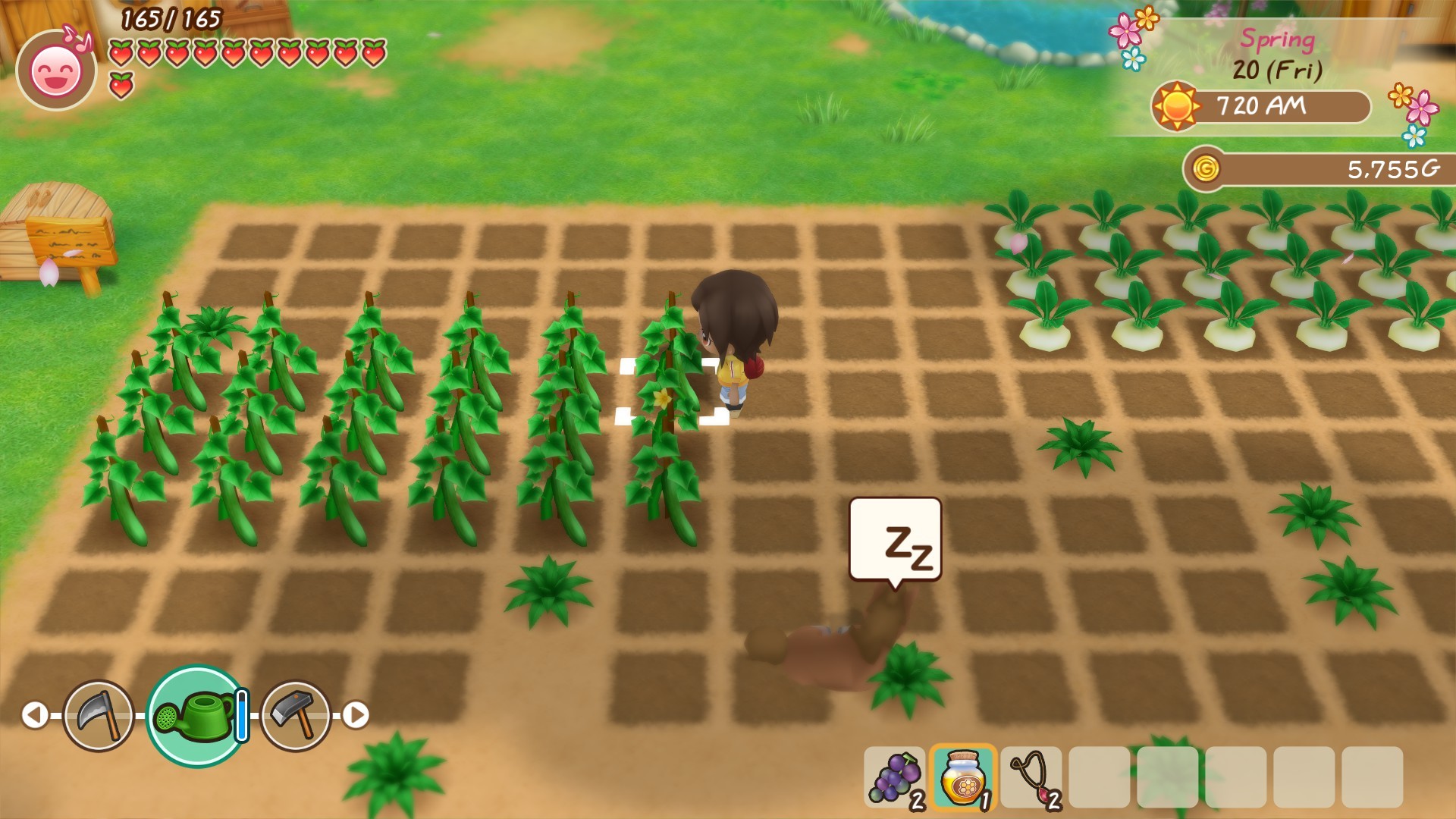 STORY OF SEASONS: Friends of Mineral Town — screenshot 3