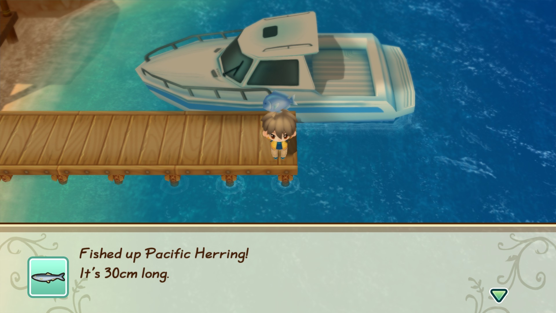 STORY OF SEASONS: Friends of Mineral Town — screenshot 5