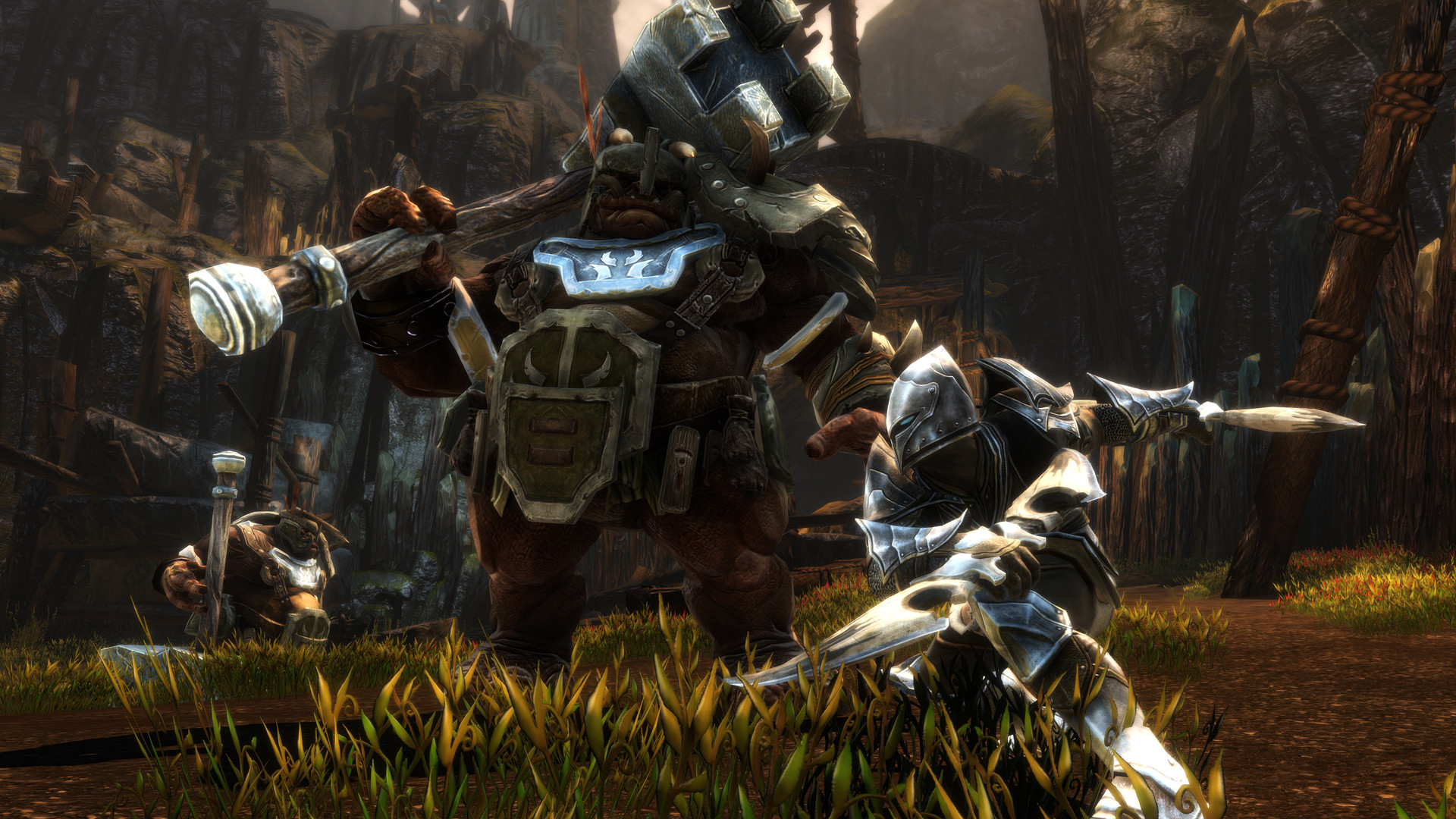 Kingdoms of Amalur: Re-Reckoning — screenshot 2