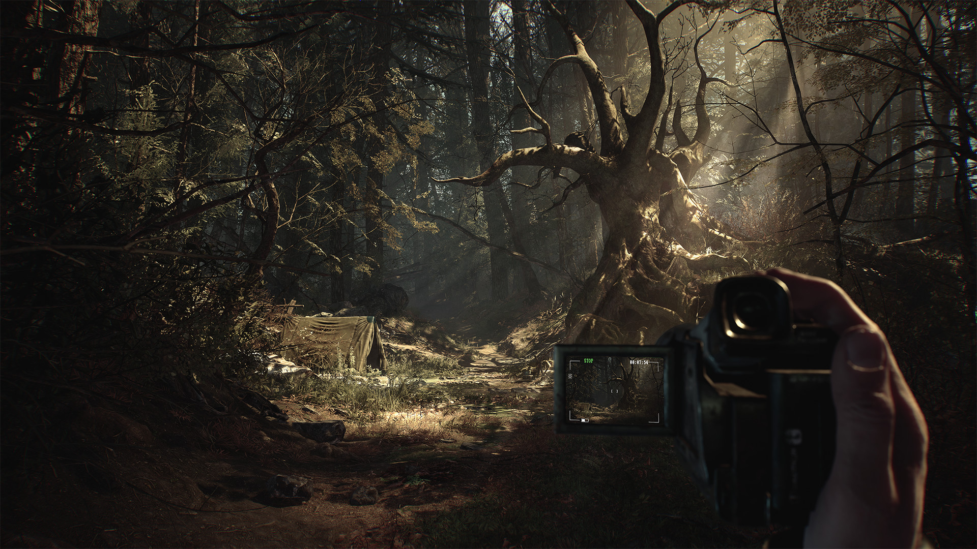 Blair Witch — screenshot 1