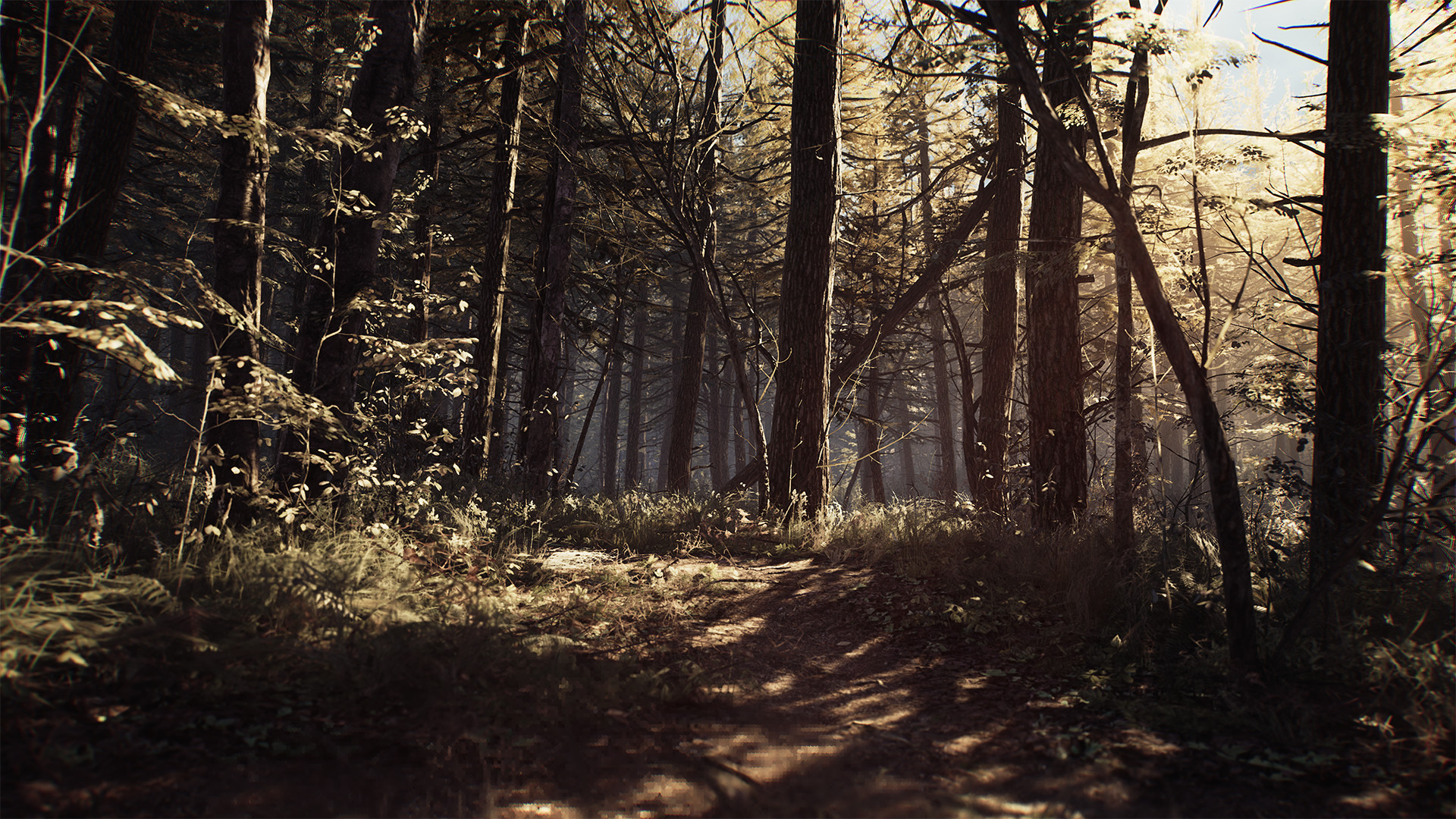 Blair Witch — screenshot 4