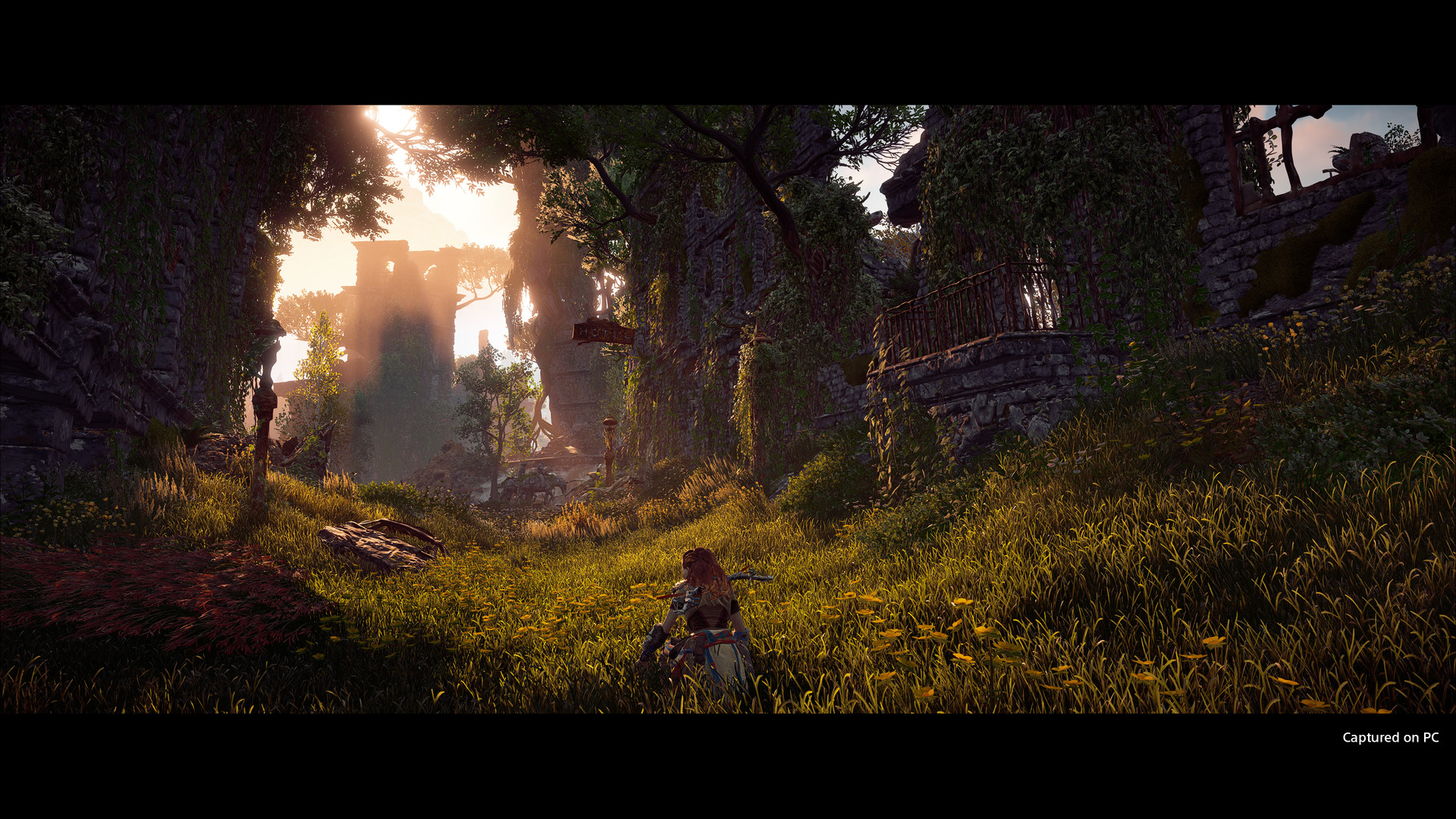 Horizon Zero Dawn™ Complete Edition — screenshot 5