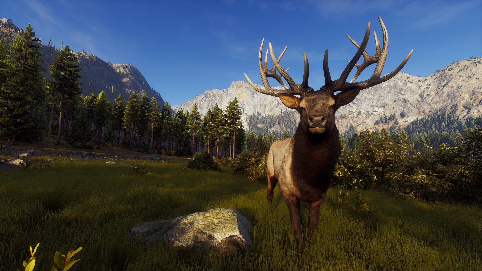 Way of the Hunter — screenshot 1