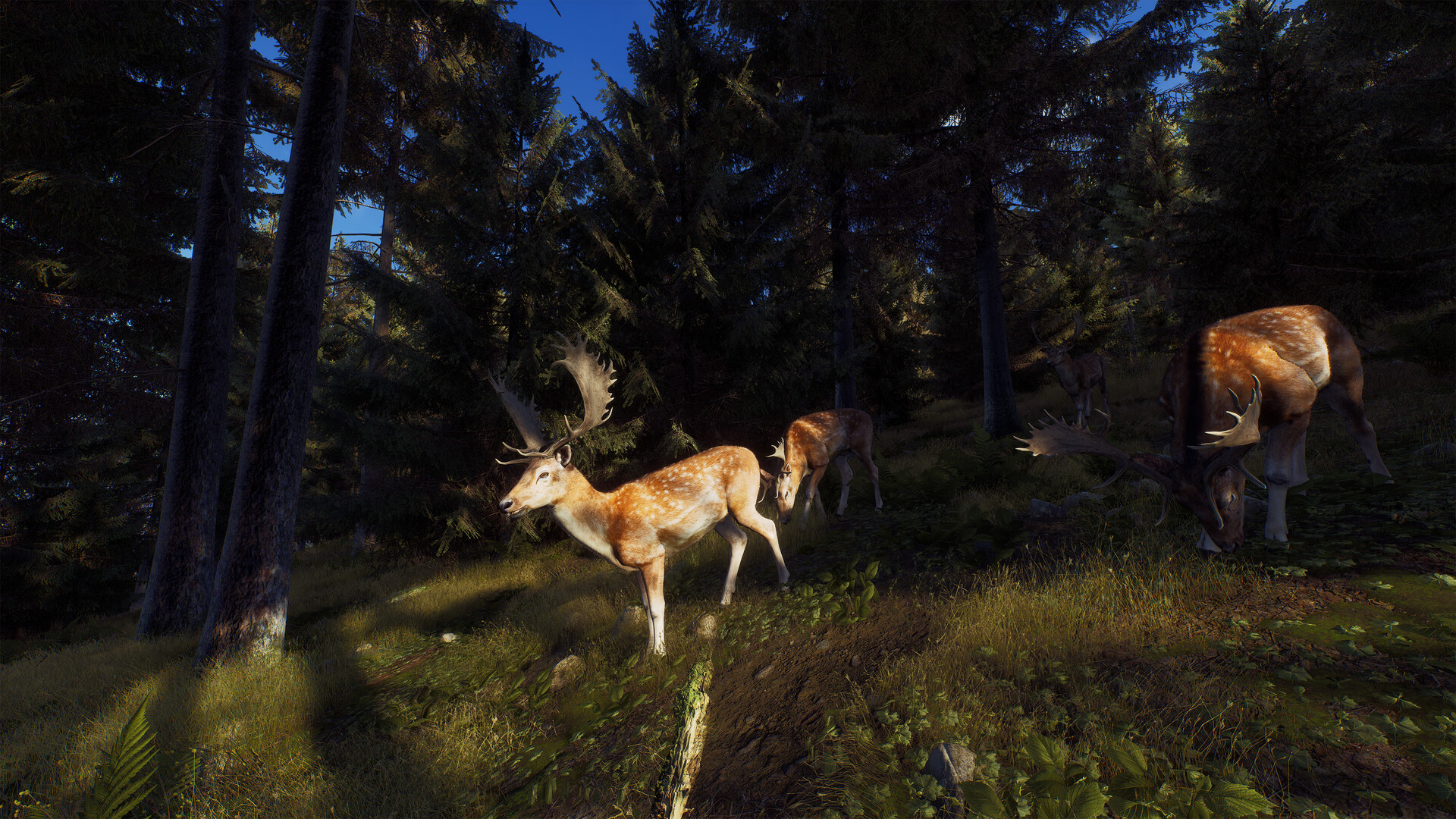Way of the Hunter — screenshot 2