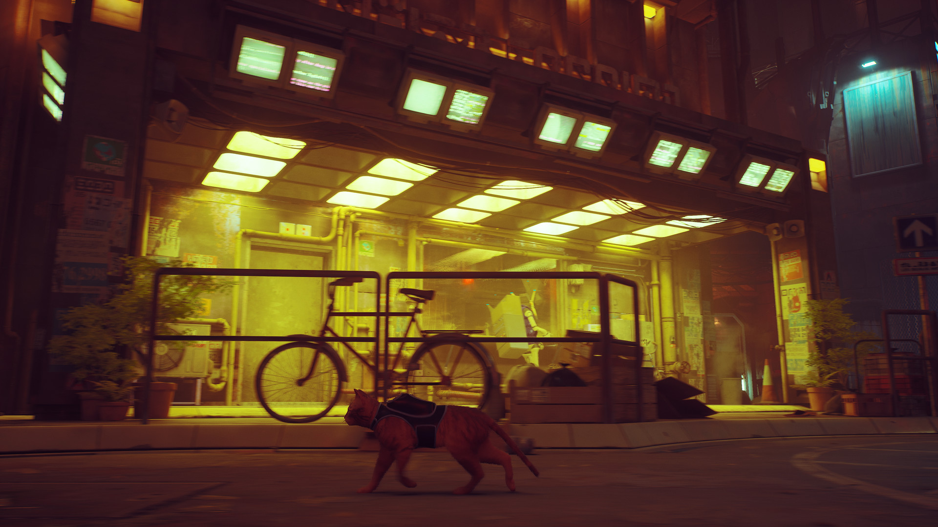 Stray — screenshot 4