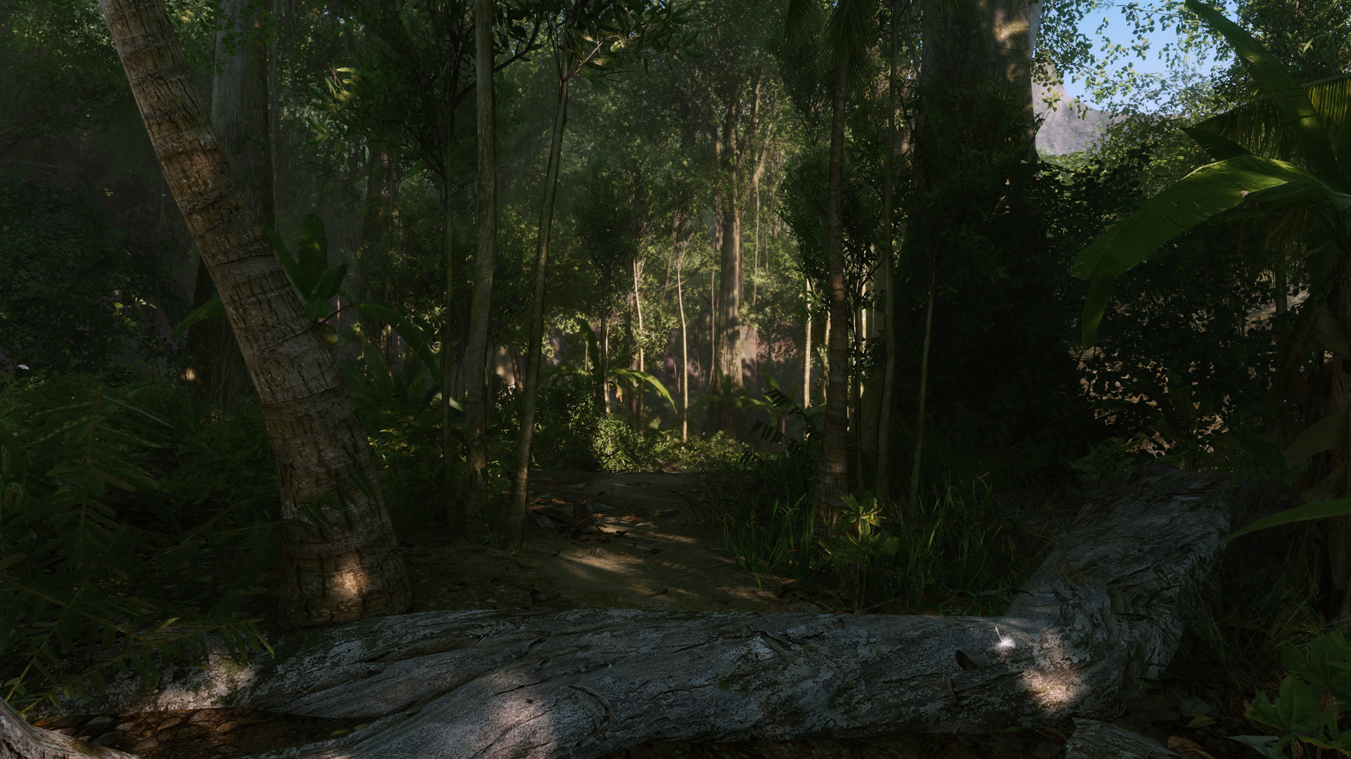 Crysis Remastered — screenshot 4